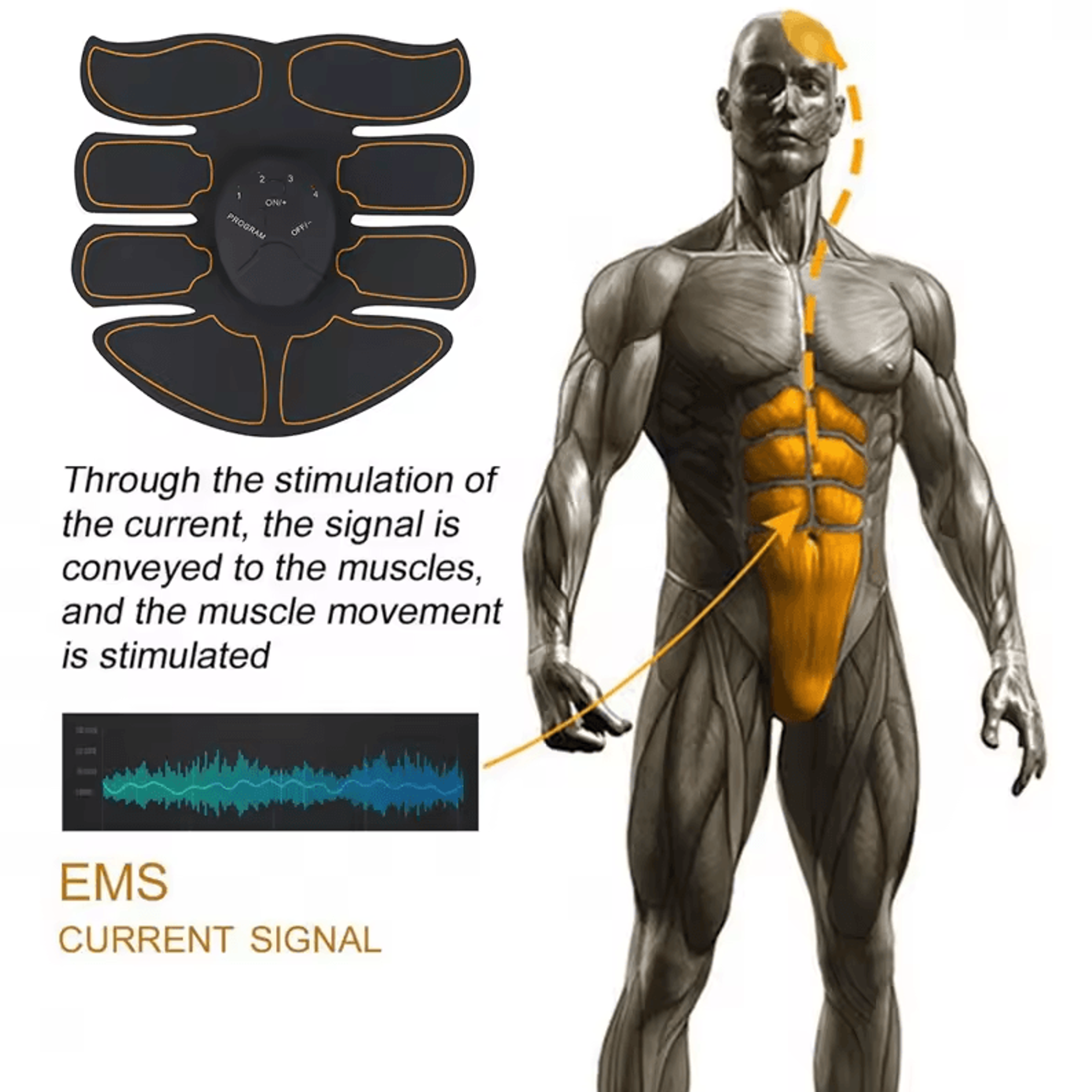 Wireless EMS Muscle Stimulator  Electric Hip Buttocks  Abdominal Fitness Trainer 1