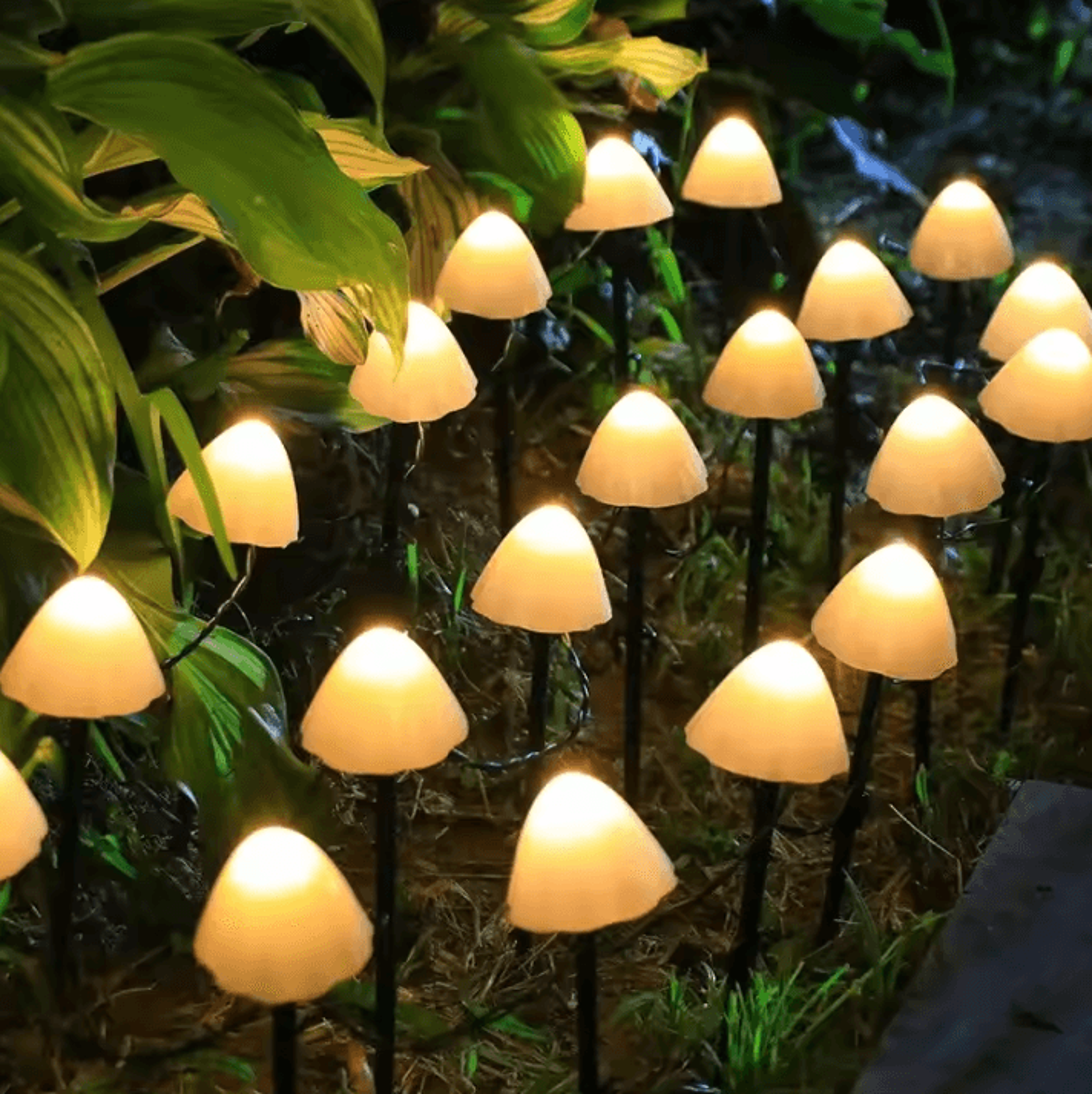 10 LED Solar Mushroom Lights 5 Watts Waterproof Outdoor Decorative Street  Garden Lights 35m 4