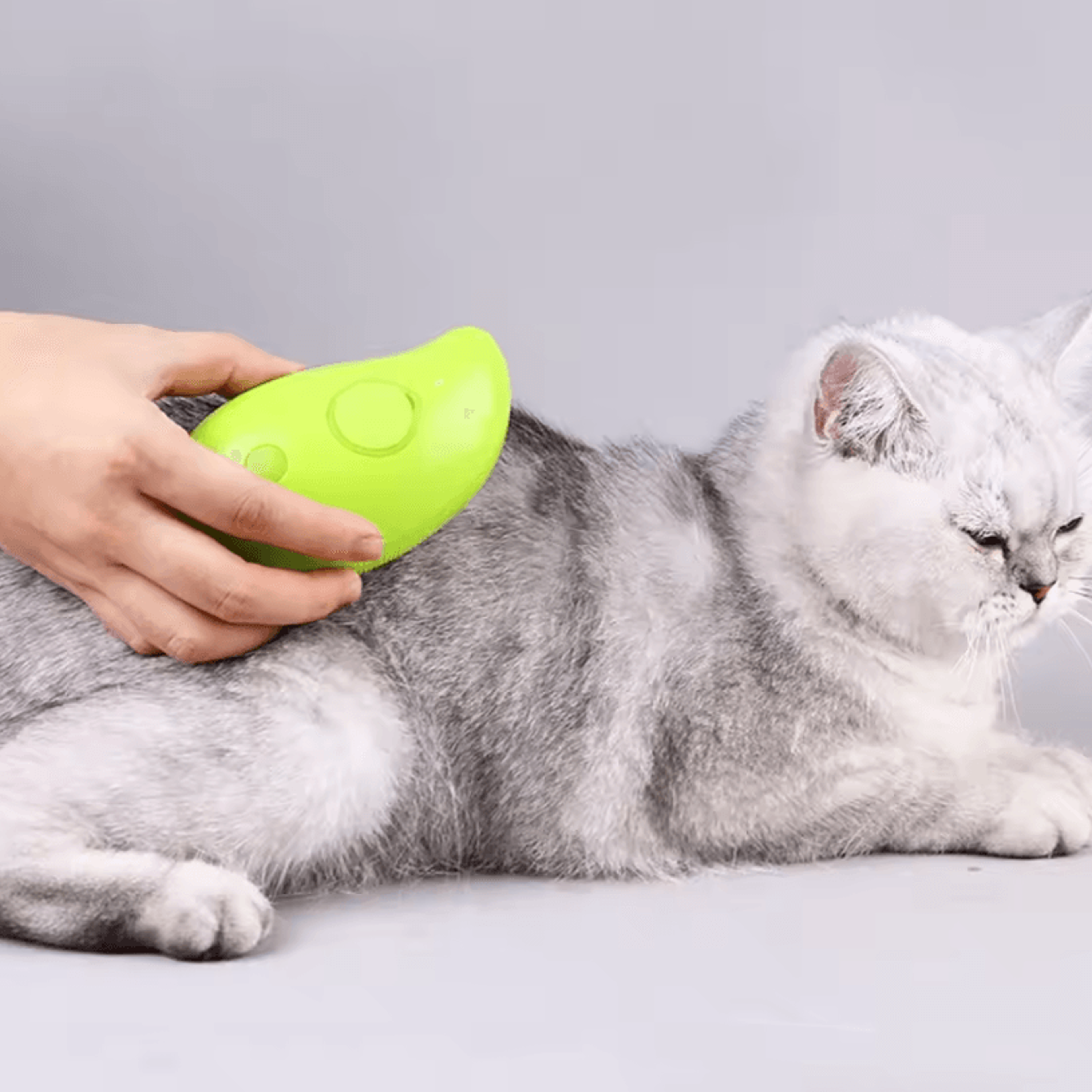 Electric 3in1 Pet Steam Brush  Steam Sprayer Massage Comb  Shedding Grooming Tool For Dogs  Cats 4