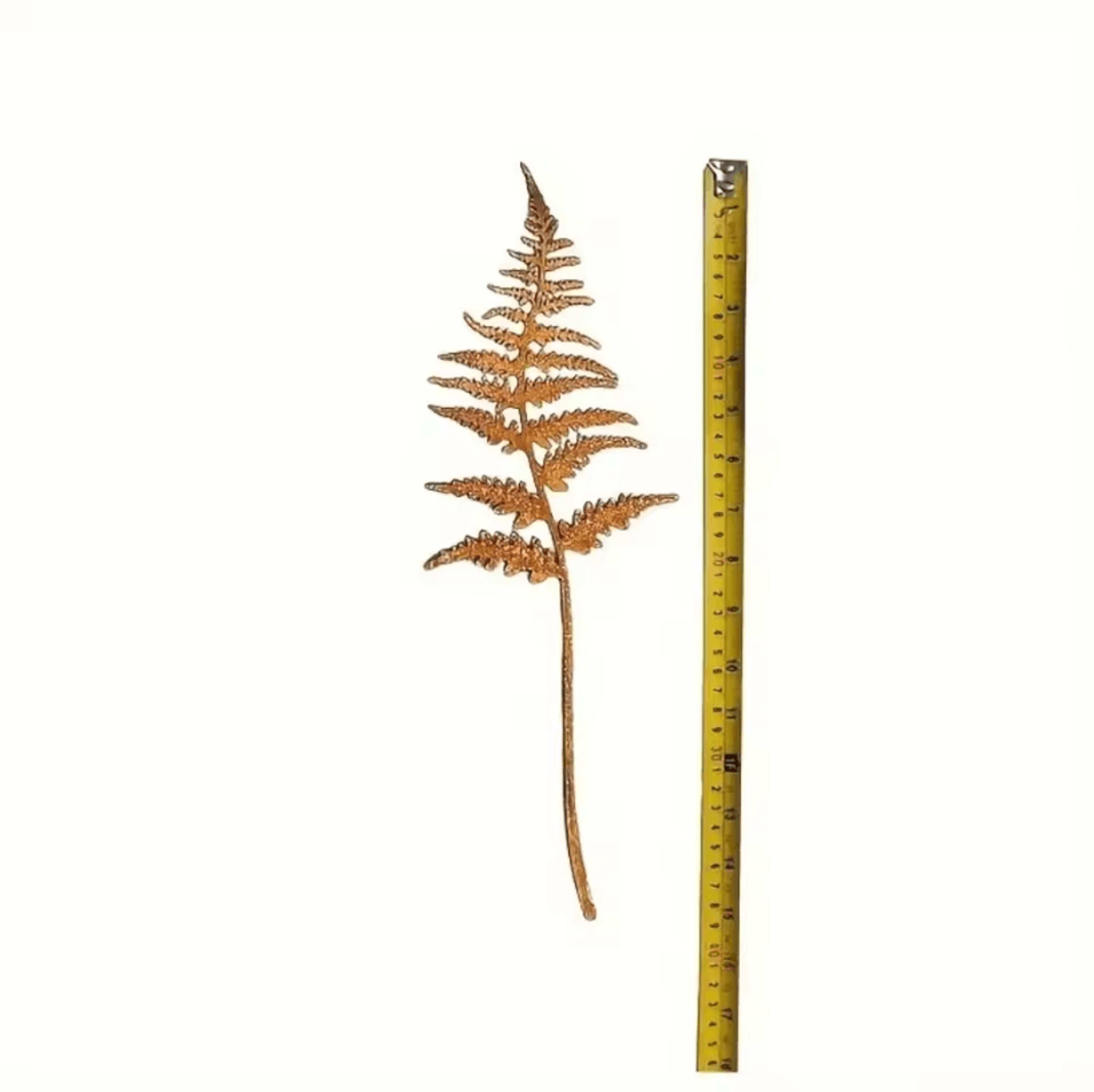 3Pcs Rusty Fern Leaves Garden Stakes  Metal Garden Art Decor Outdoor Plant Stake Bouquet For Yard   4