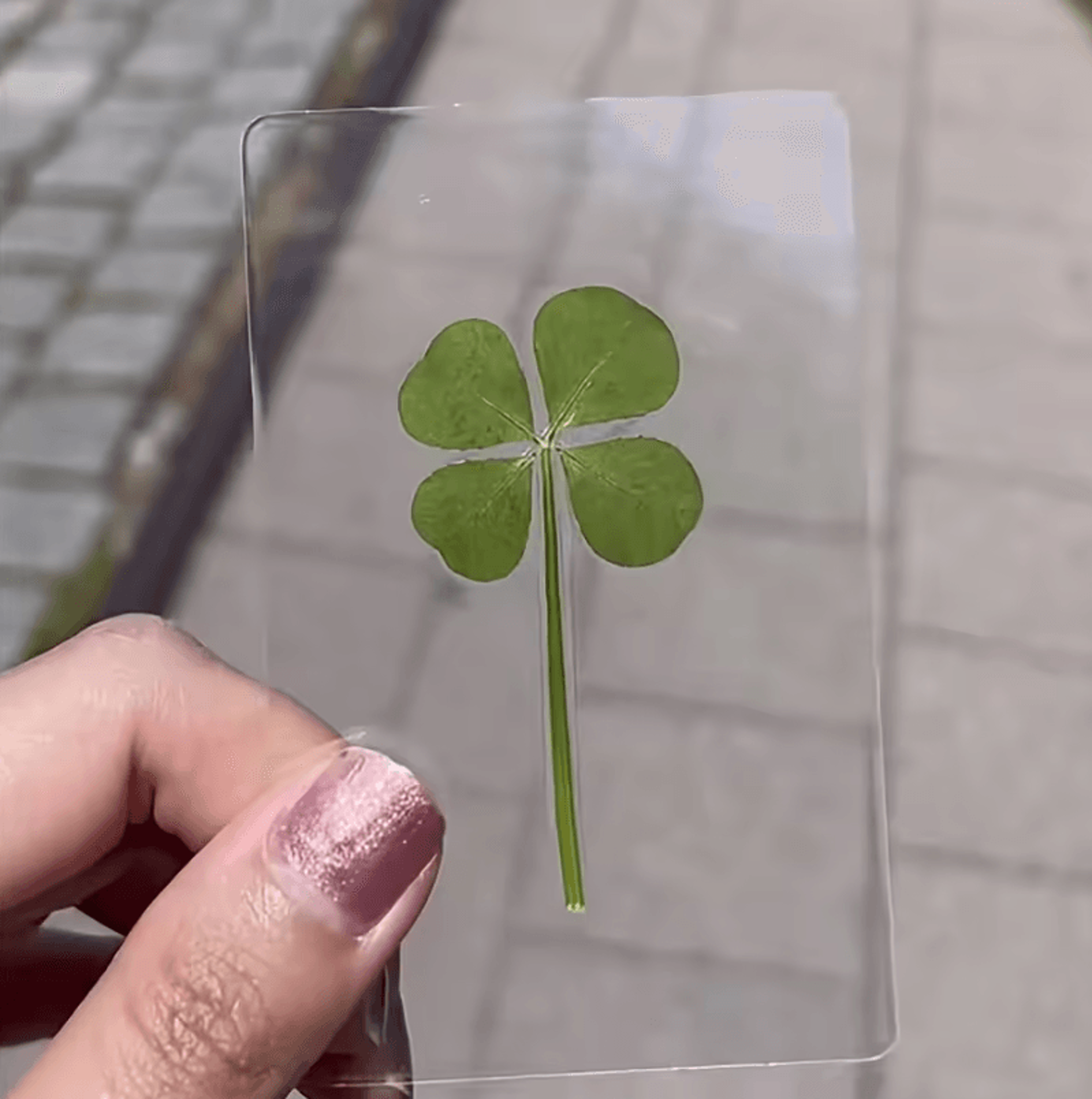 Vintage Lucky Clover Postcards  Transparent Wishing Cards With Natural Grass For Bookmarks And Keep 3