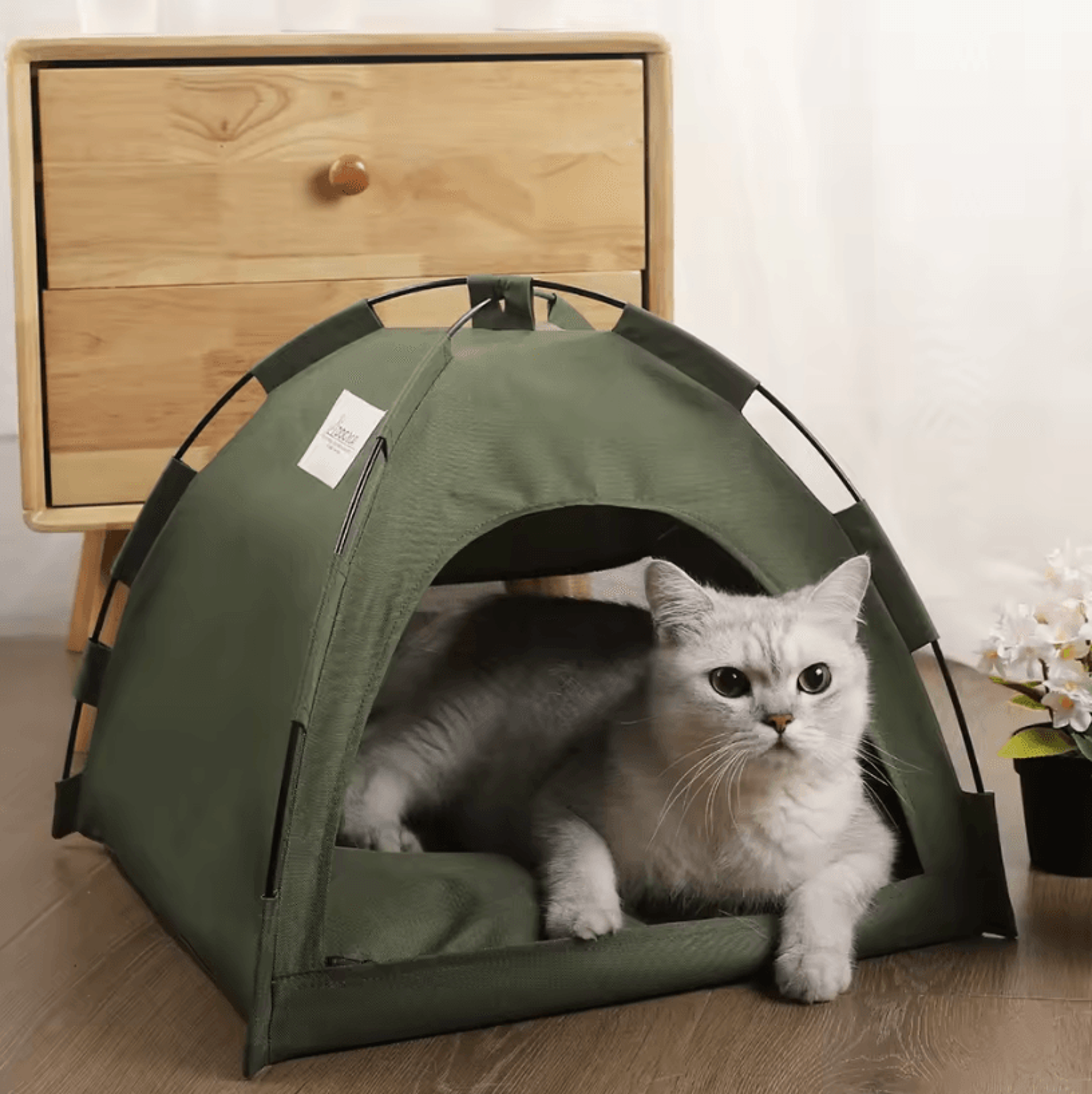pet tent bed – cozy cat house with cushioned furniture for indoor pets
