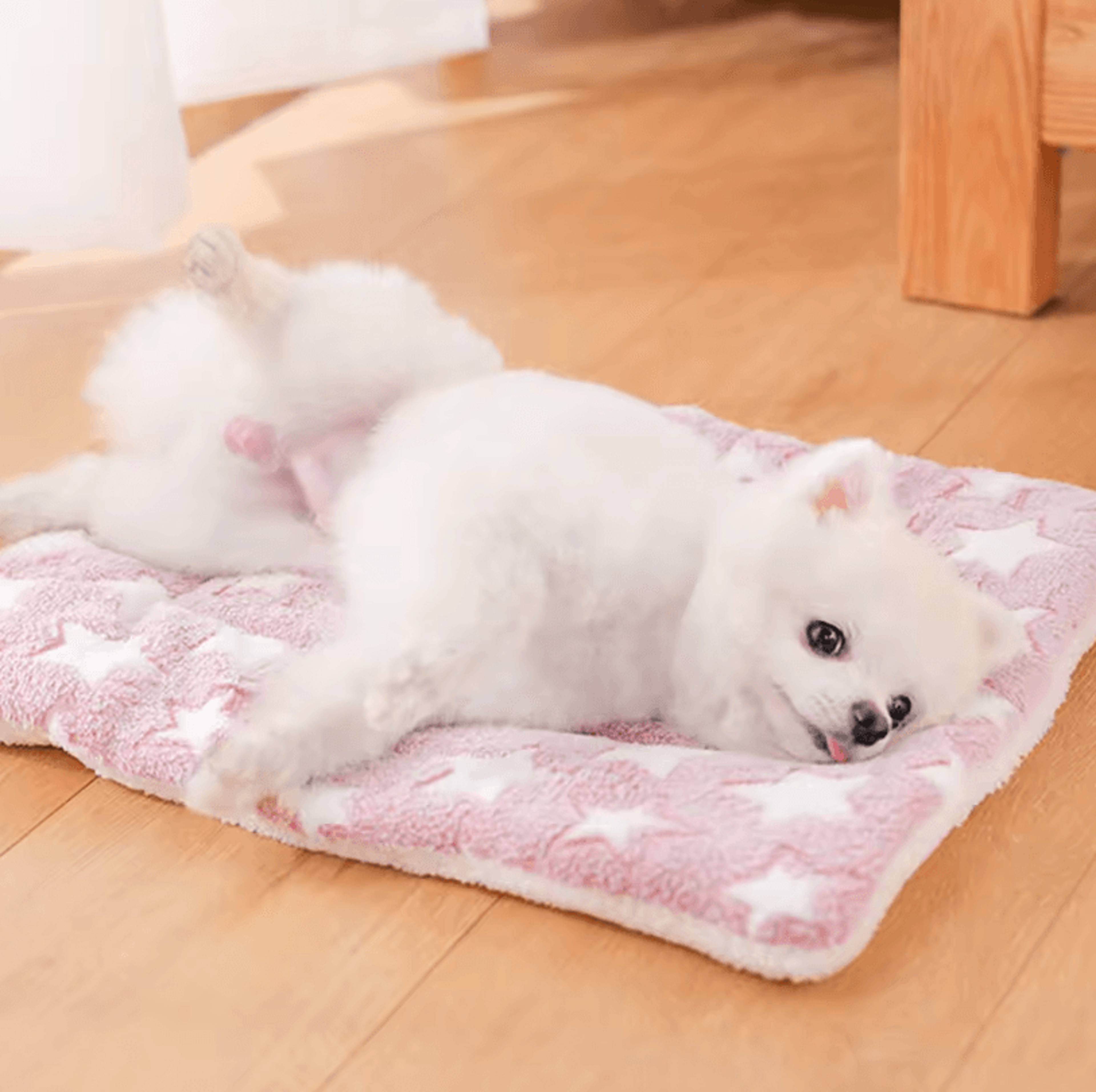 Flannel Dog Bed Blanket  Thickened Washable Cushion Mat For Puppies And Pets 2