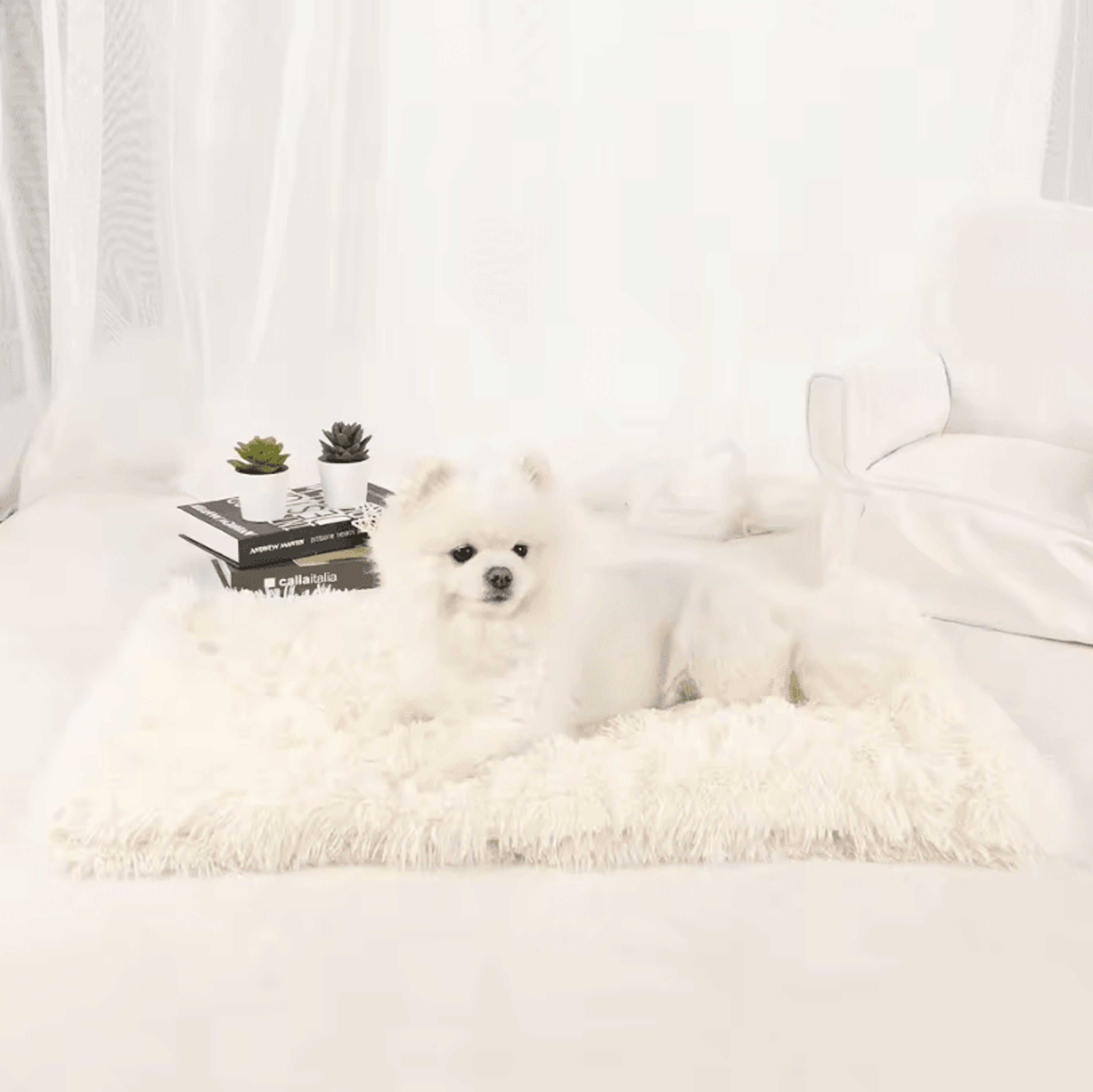 Washable Dog Blanket Bed  Warm Plush Mat For Dogs Puppies And Cats 7
