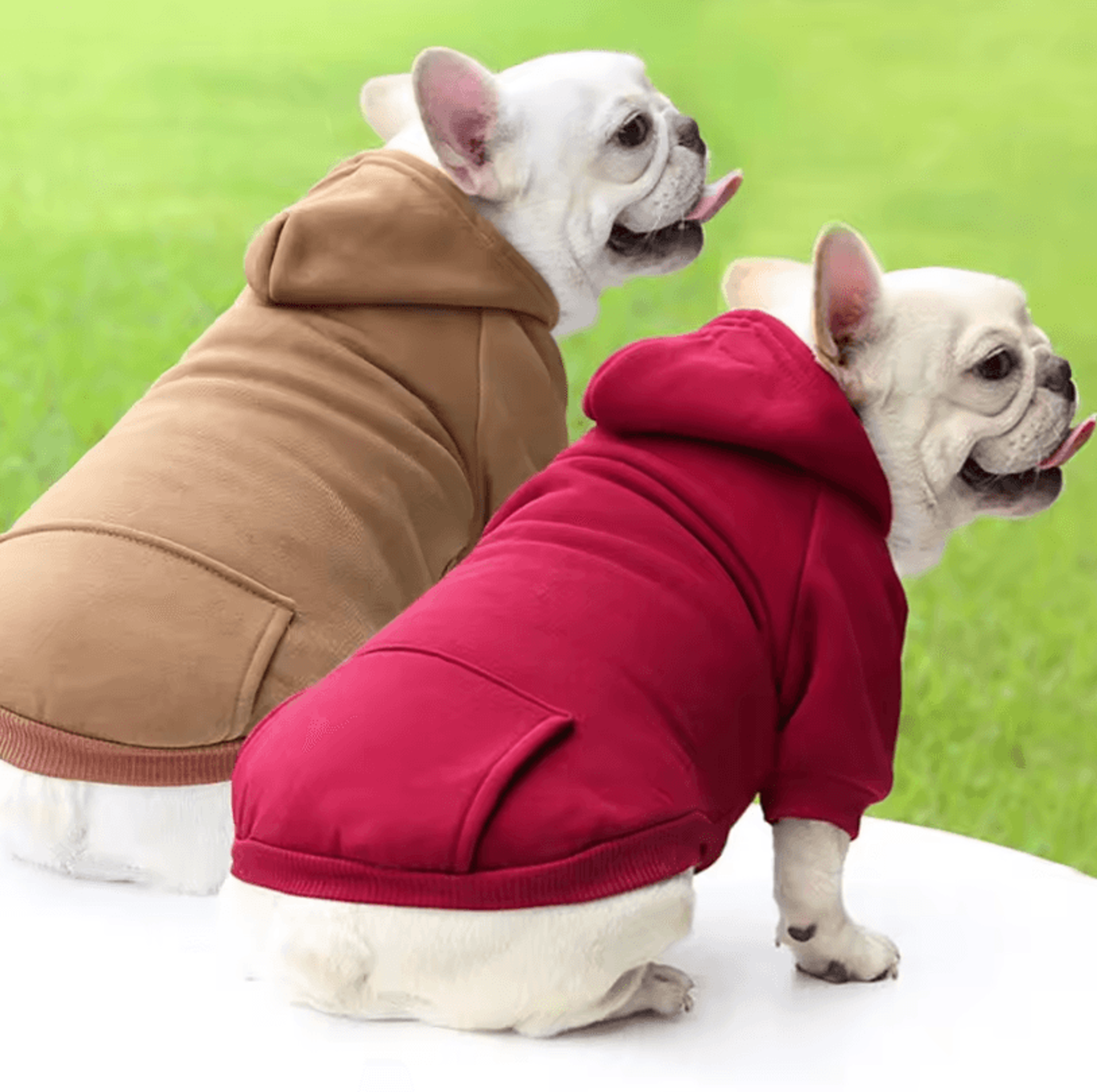 Small Dog Clothes  Warm Pet Dog Outfit For Chihuahua French Bulldog And Puppies 0