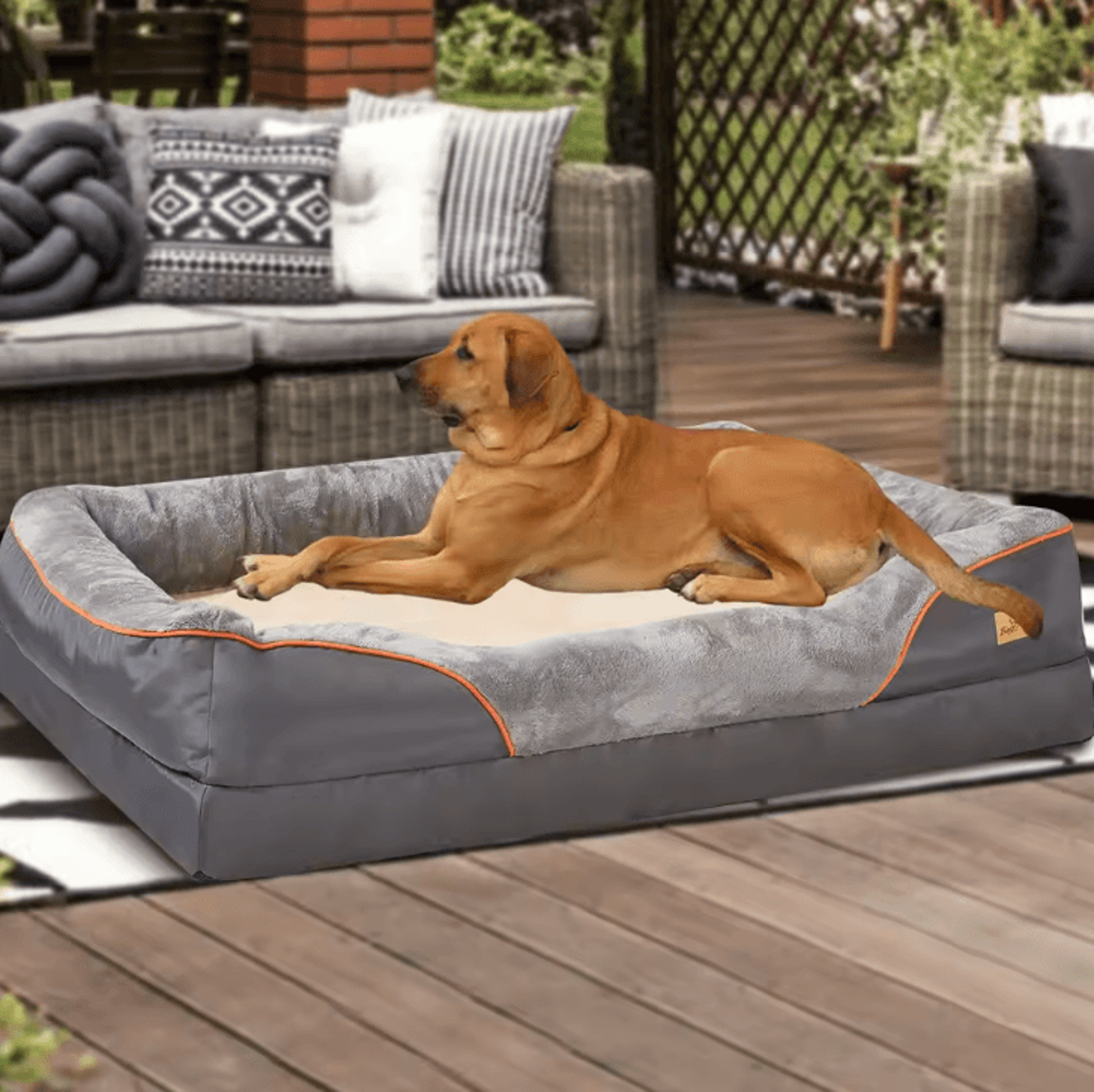 Orthopedic Dog Bed With CottonPadded Bolster  Super Soft Pet Sleeping Mat With Removable Cover L3XL 1