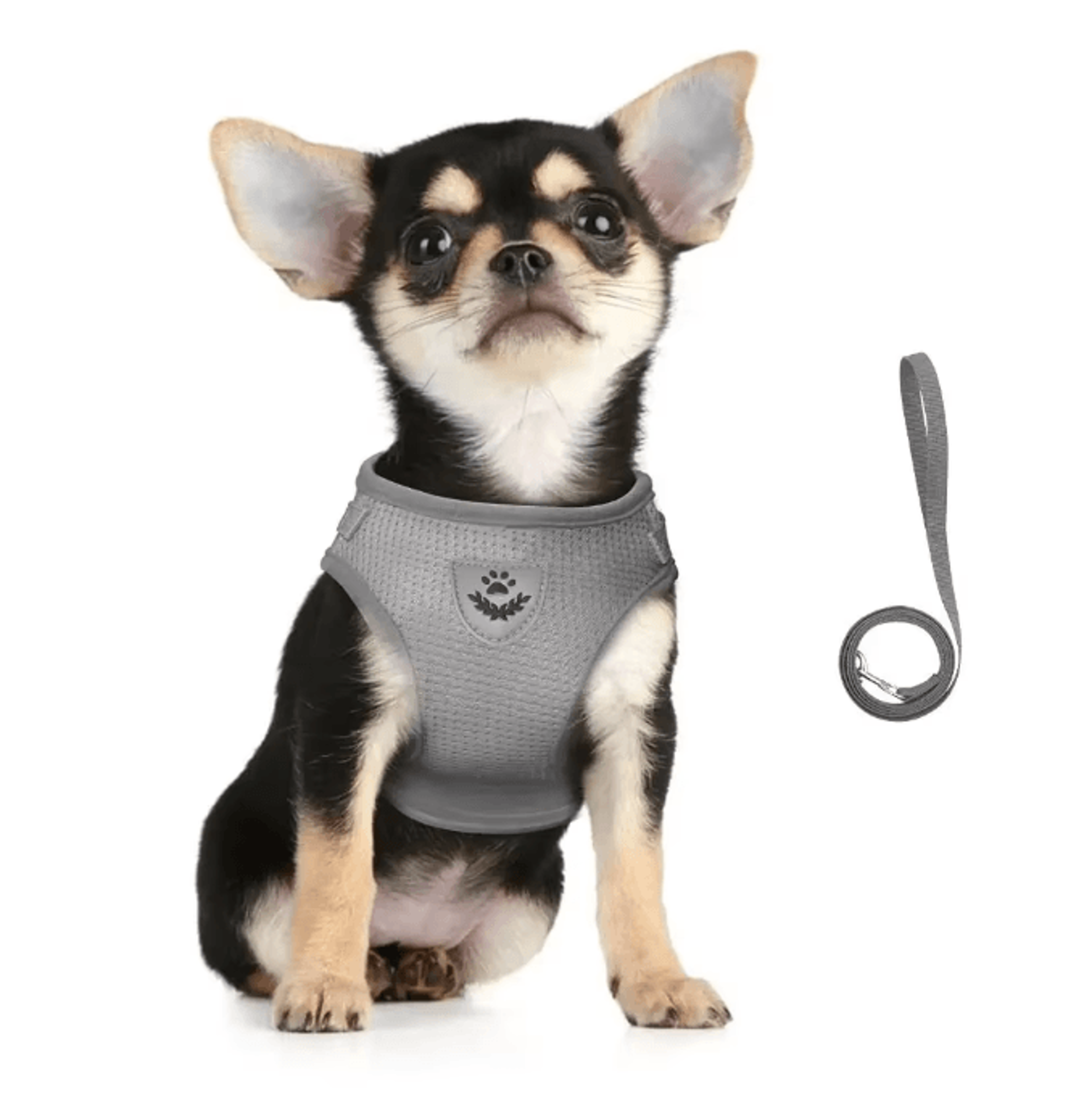 SafePaw Reflective EscapeProof Cat Harness  Leash Set 2