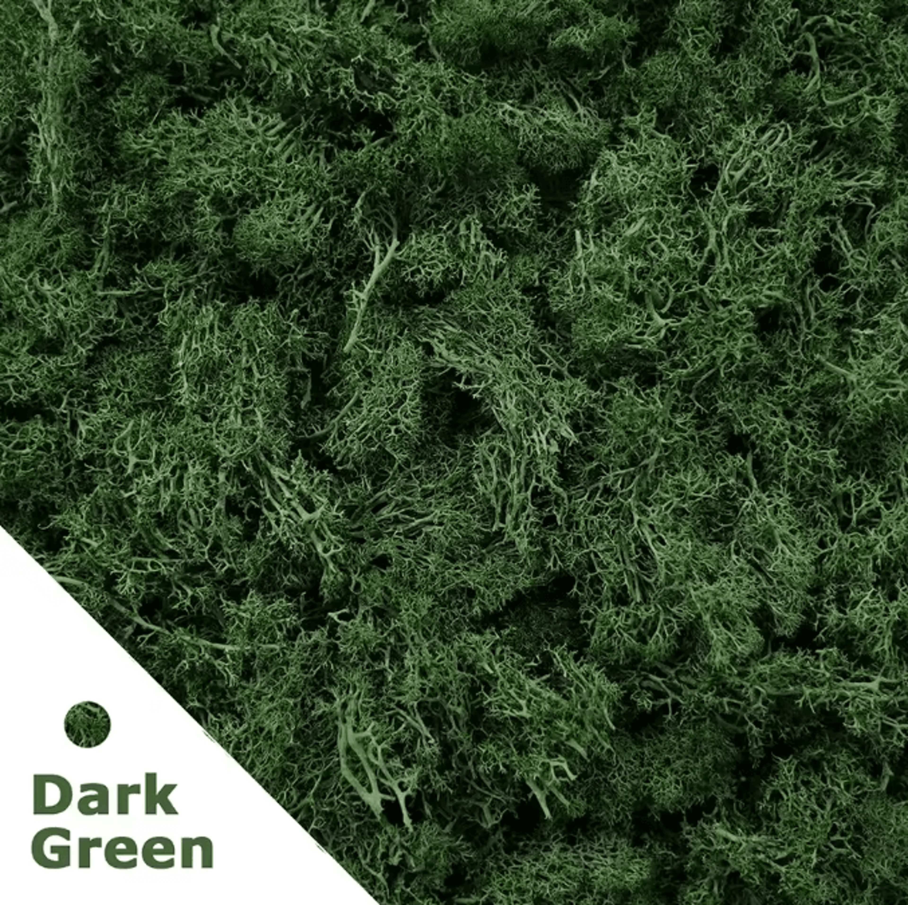 Artificial Moss Grass  Realistic Mini Landscape Moss For DIY Crafts Home  Garden Decor 4