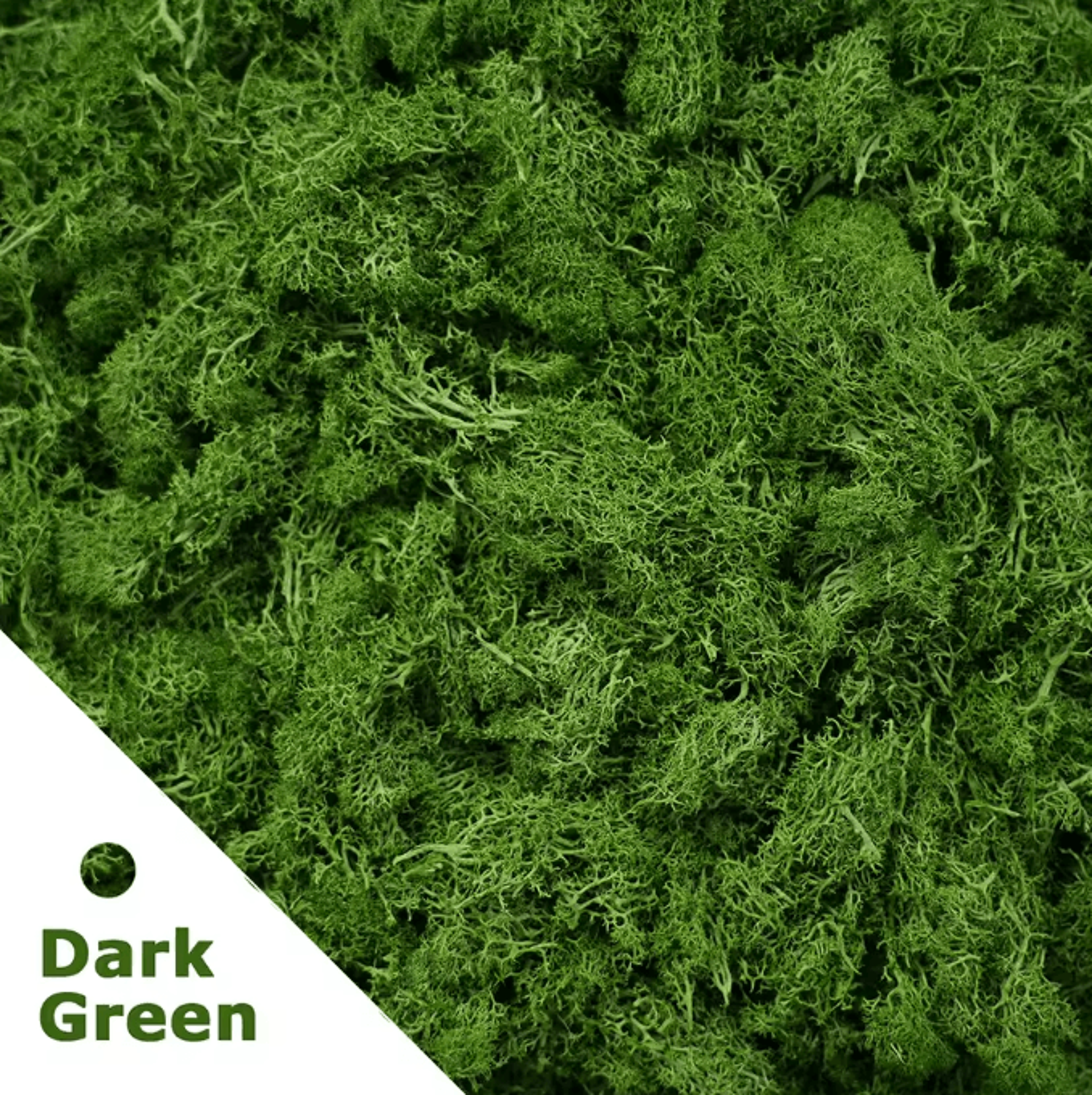 Artificial Moss Grass  Realistic Mini Landscape Moss For DIY Crafts Home  Garden Decor 5