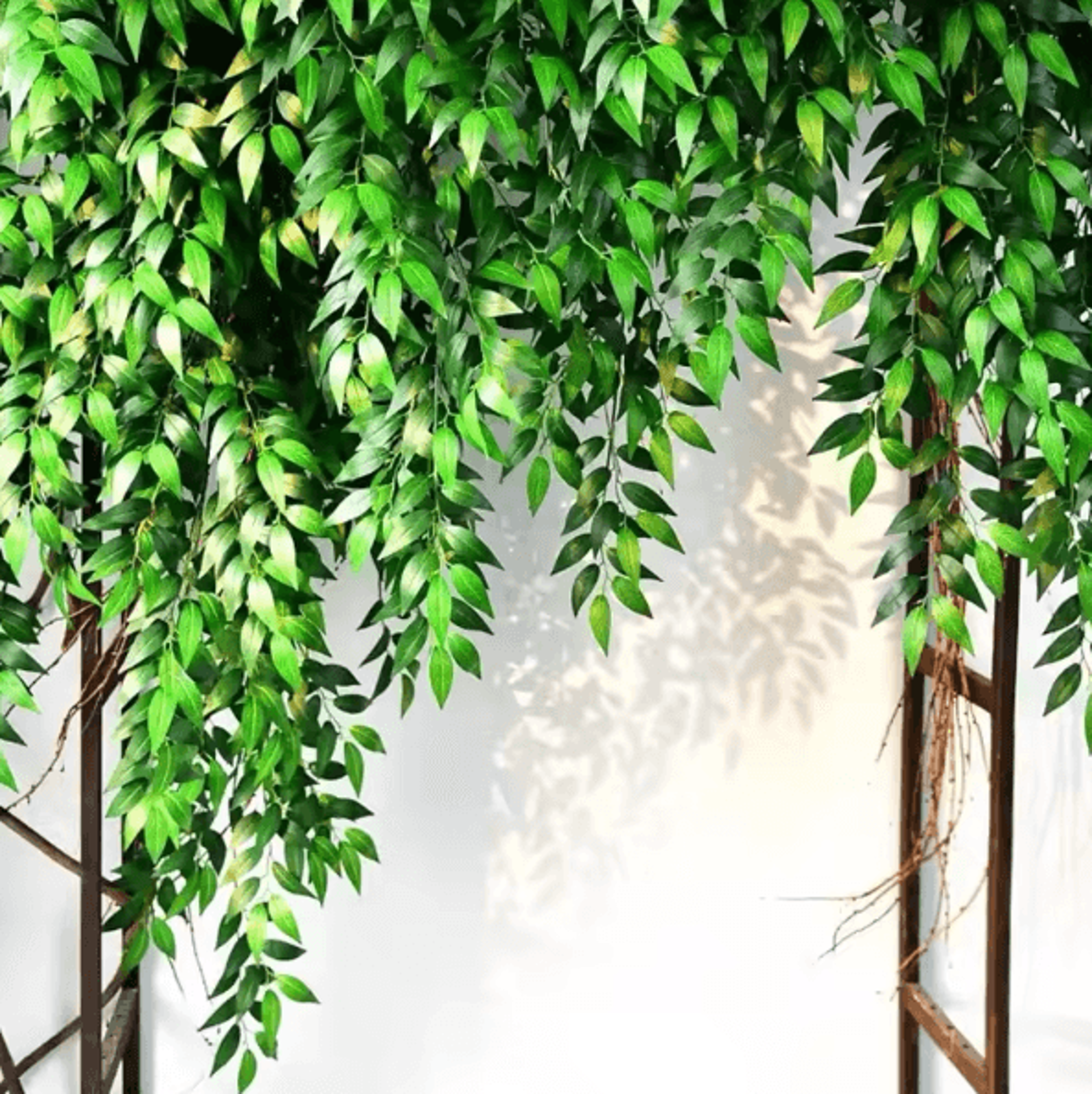 10PCS Italian Ruscus Artificial Greenery Stems For Wedding Arch Bouquet  Home Decor Faux Leaves 4