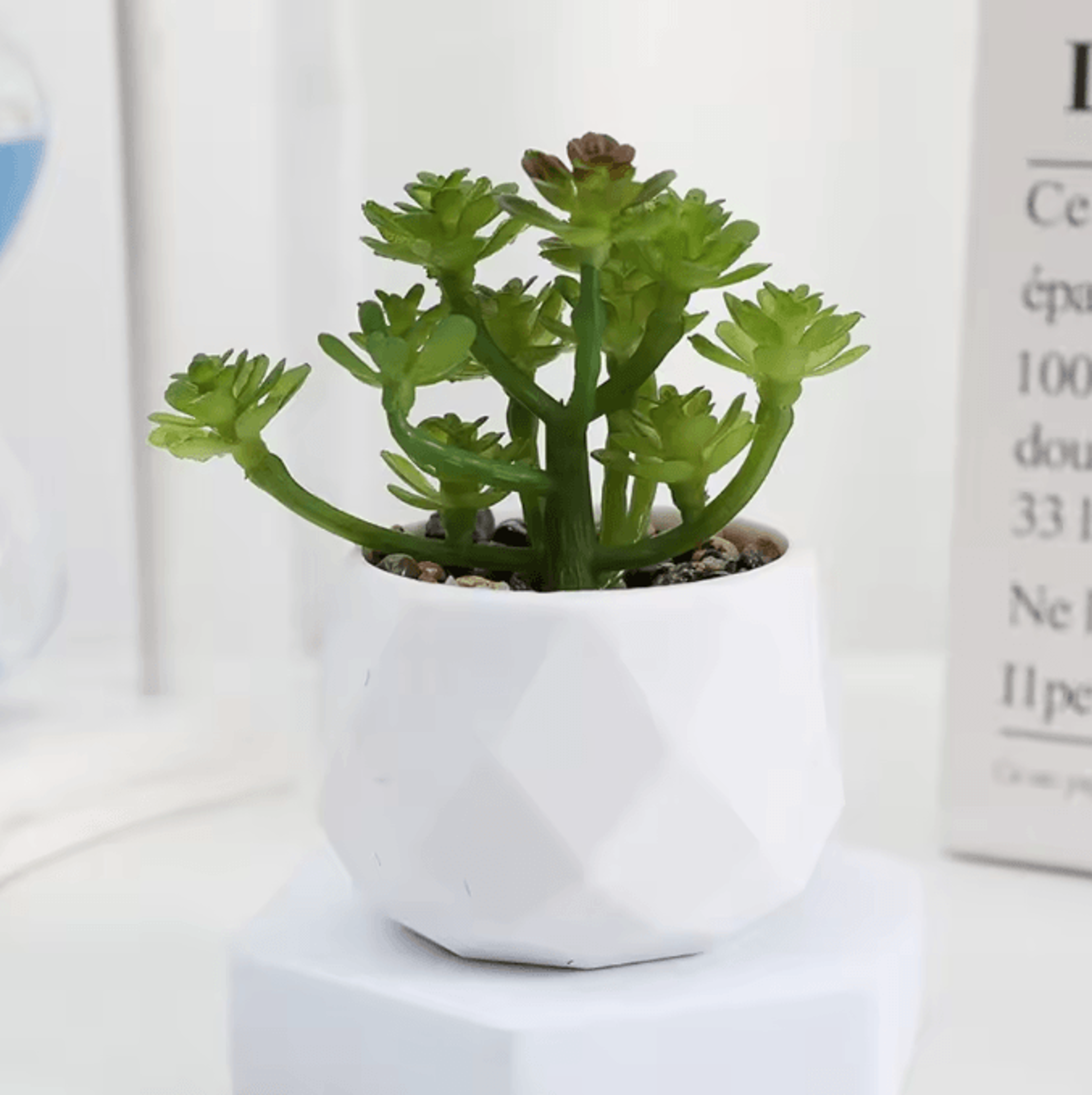 Mini Artificial Succulent Bonsai Plants Realistic Fake Greenery Decor For Desk And Home 8