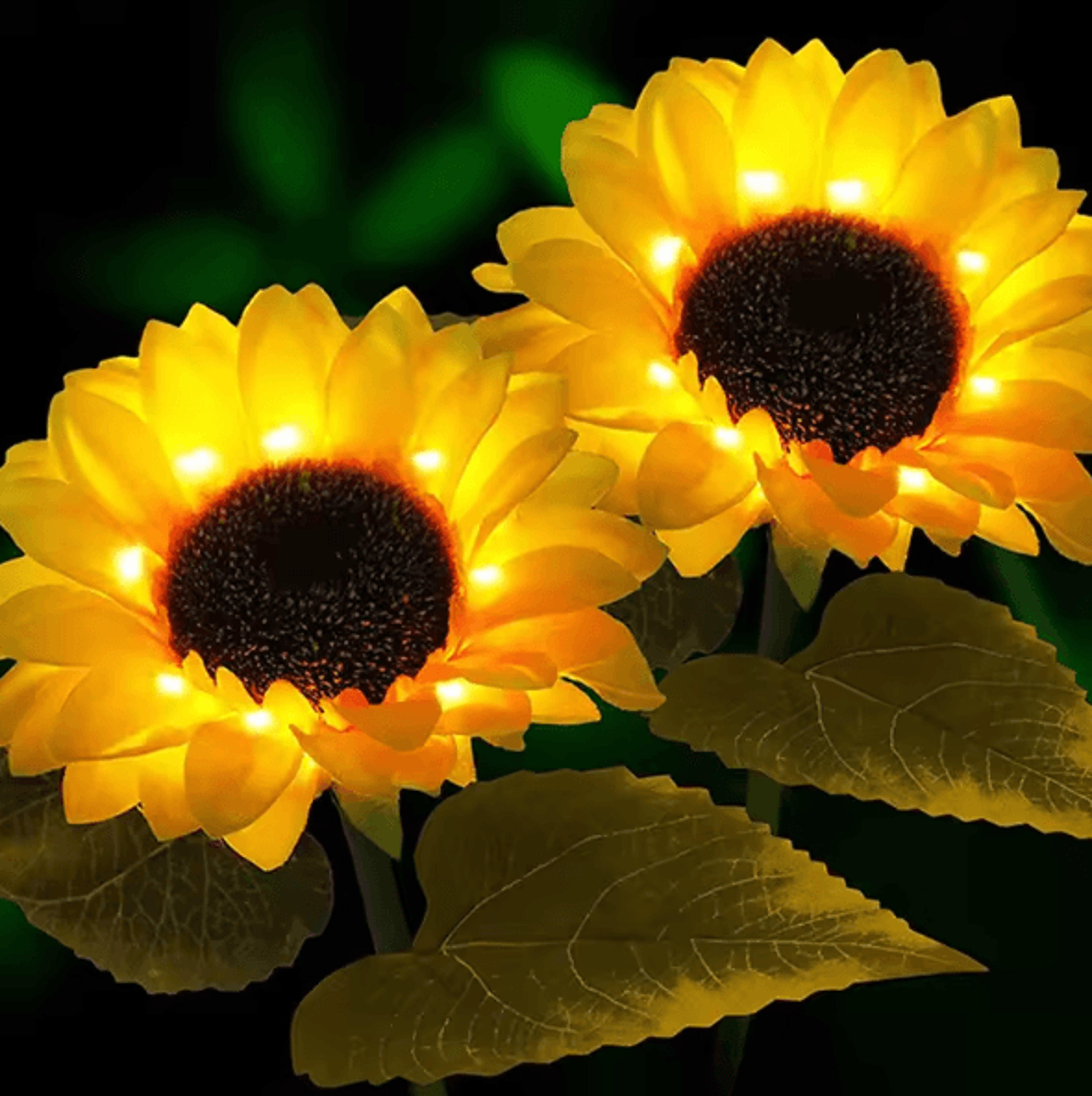 Solar LED Sunflower  Rose Garden Lights  Waterproof Colorful Outdoor Landscape Decor 1