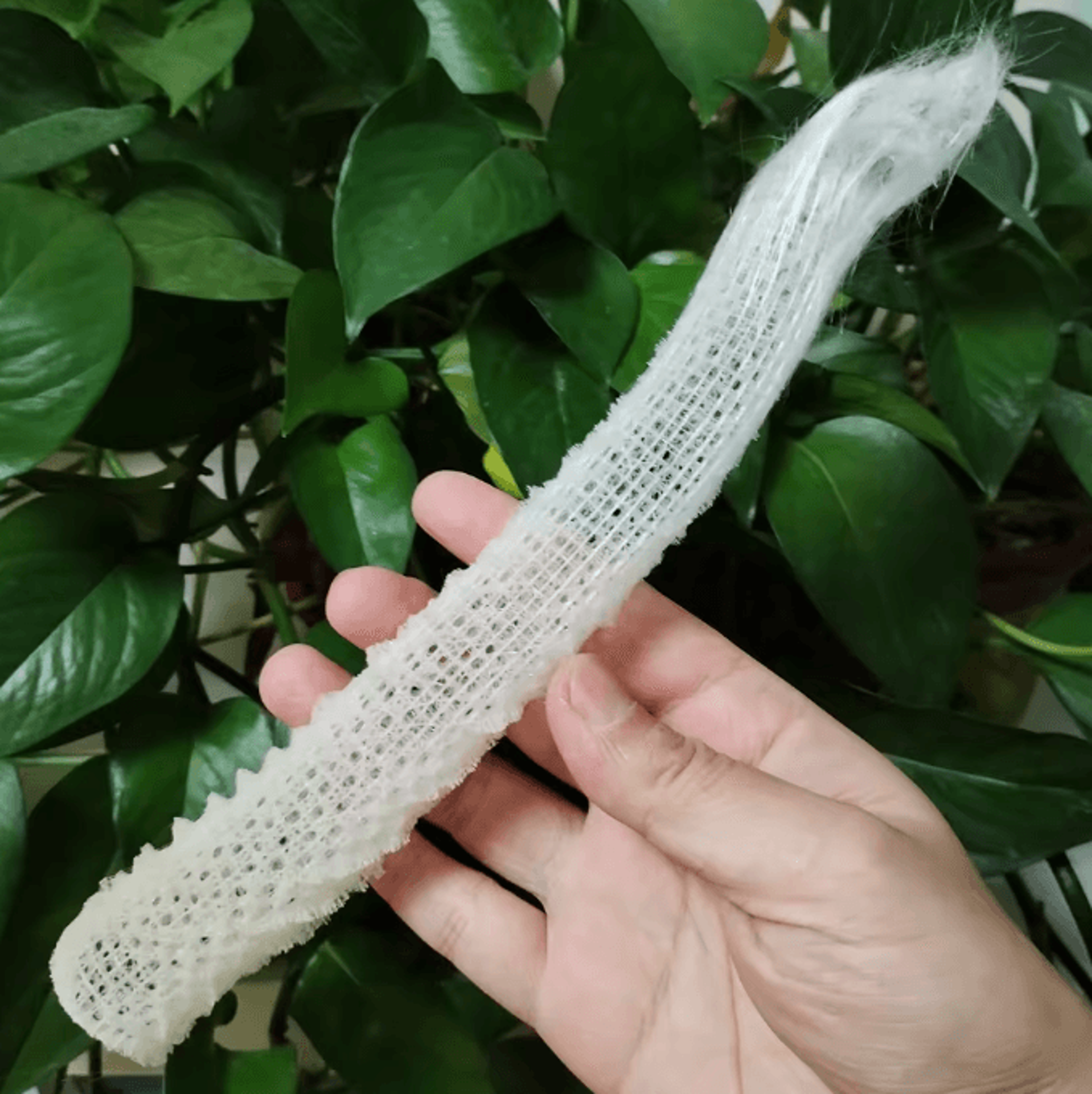 Venus Flower Basket Glass Sponge Decor  OceanInspired Aquarium  Table Accent 1