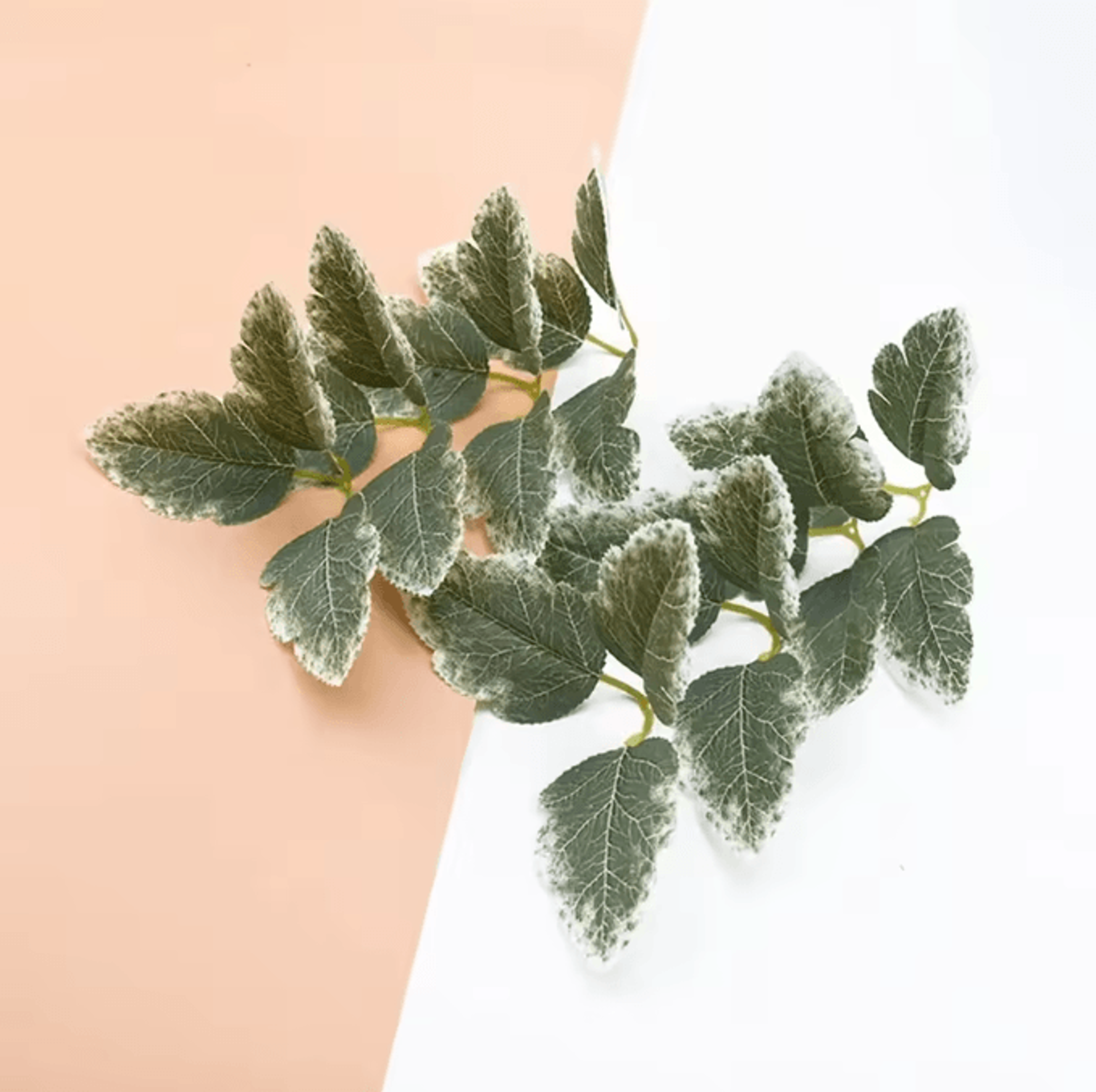 GreenLeaf 2050PCS Artificial Silk Green Leaves Bulk DIY Wedding  Home Decor 3