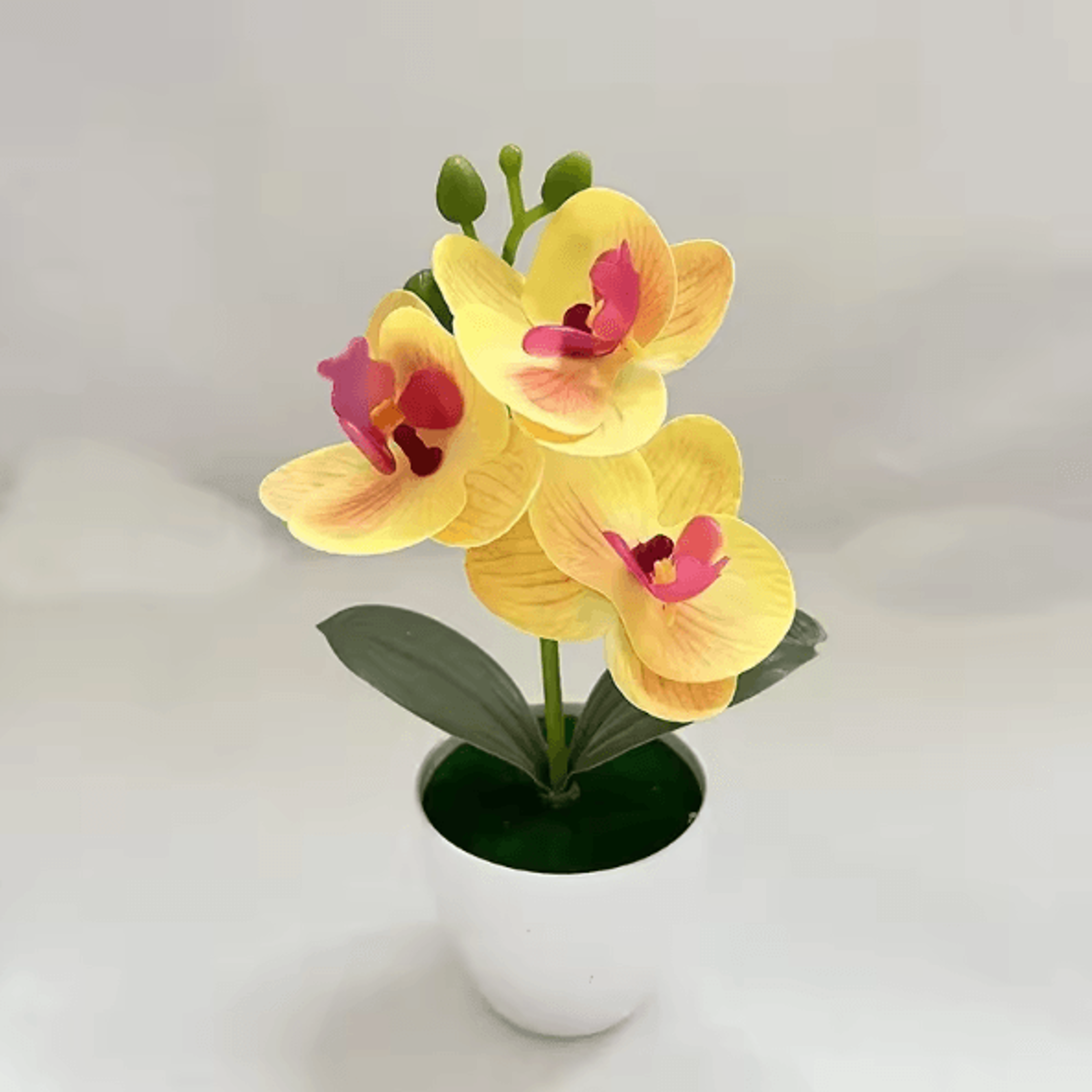 MiniZen Artificial Bonsai Plant Potted Fake Tree For Home  Desk Decor 4