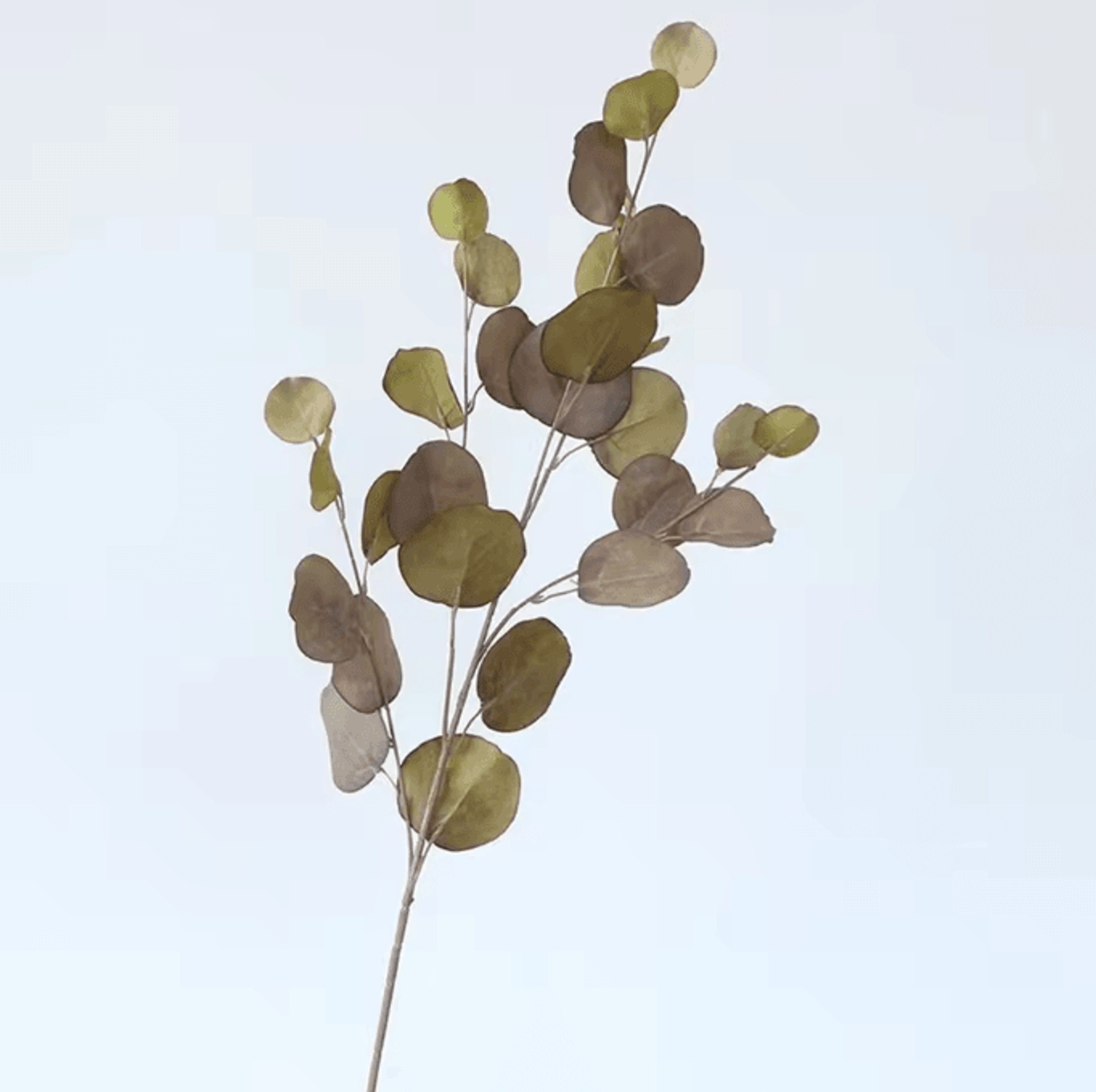 GreenVibe Long Stem Artificial Eucalyptus Leaves Wall And Vase Decor 11