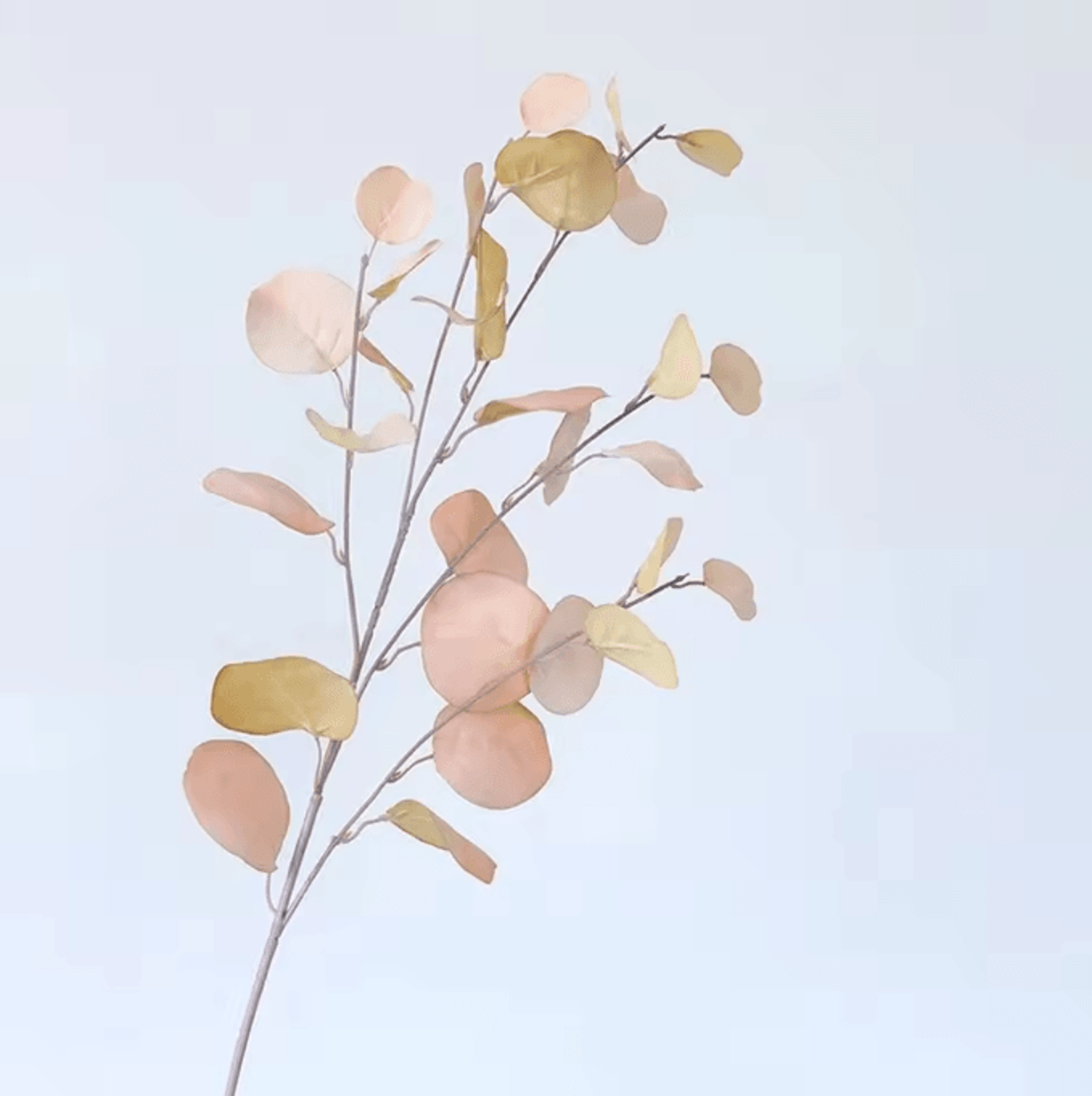 GreenVibe Long Stem Artificial Eucalyptus Leaves Wall And Vase Decor 6