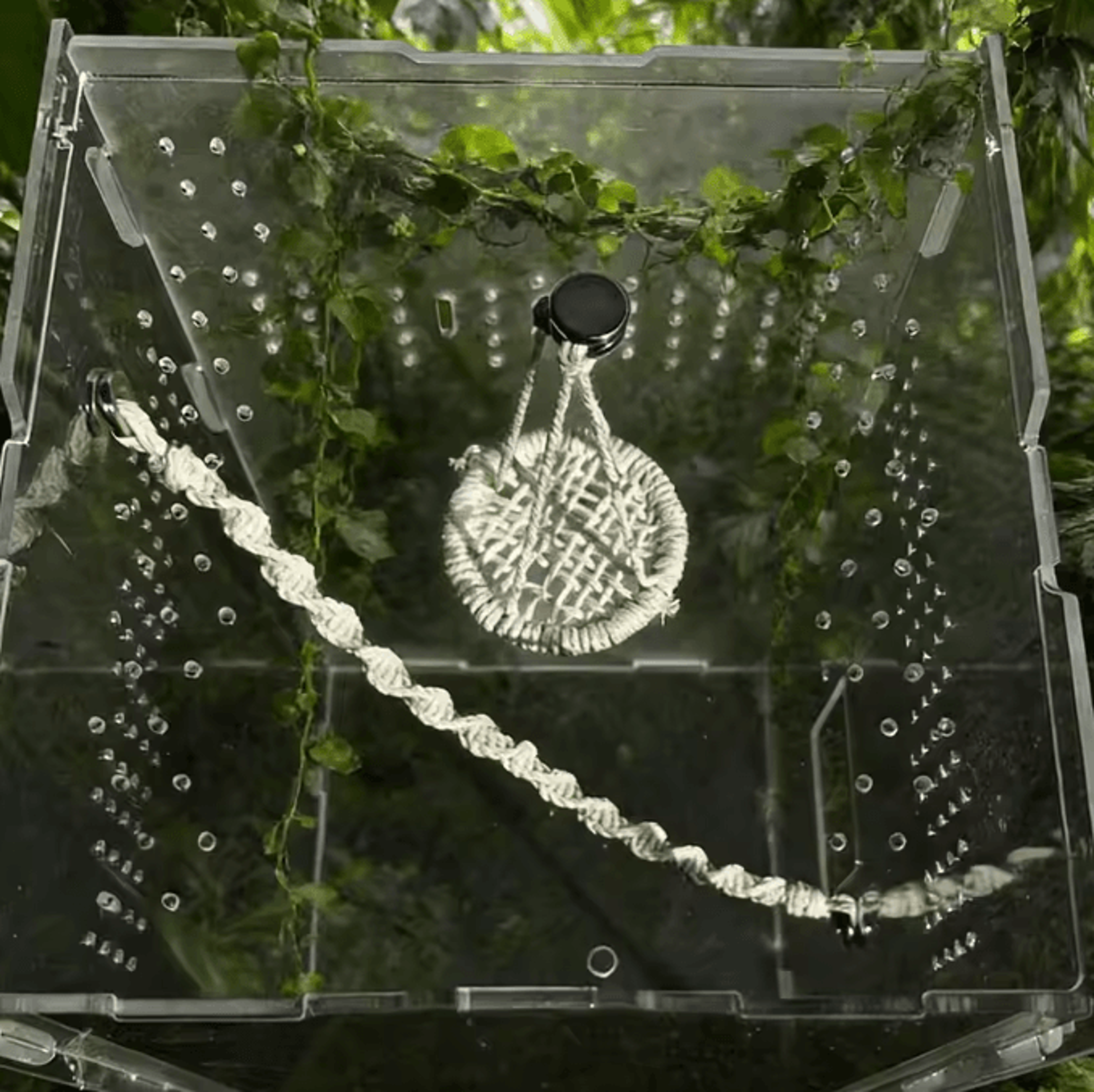 Jumping Spider Rope Bridge Ladder  Climbing Habitat Decor For Gecko Hermit Crab  Reptile Enclosures 2
