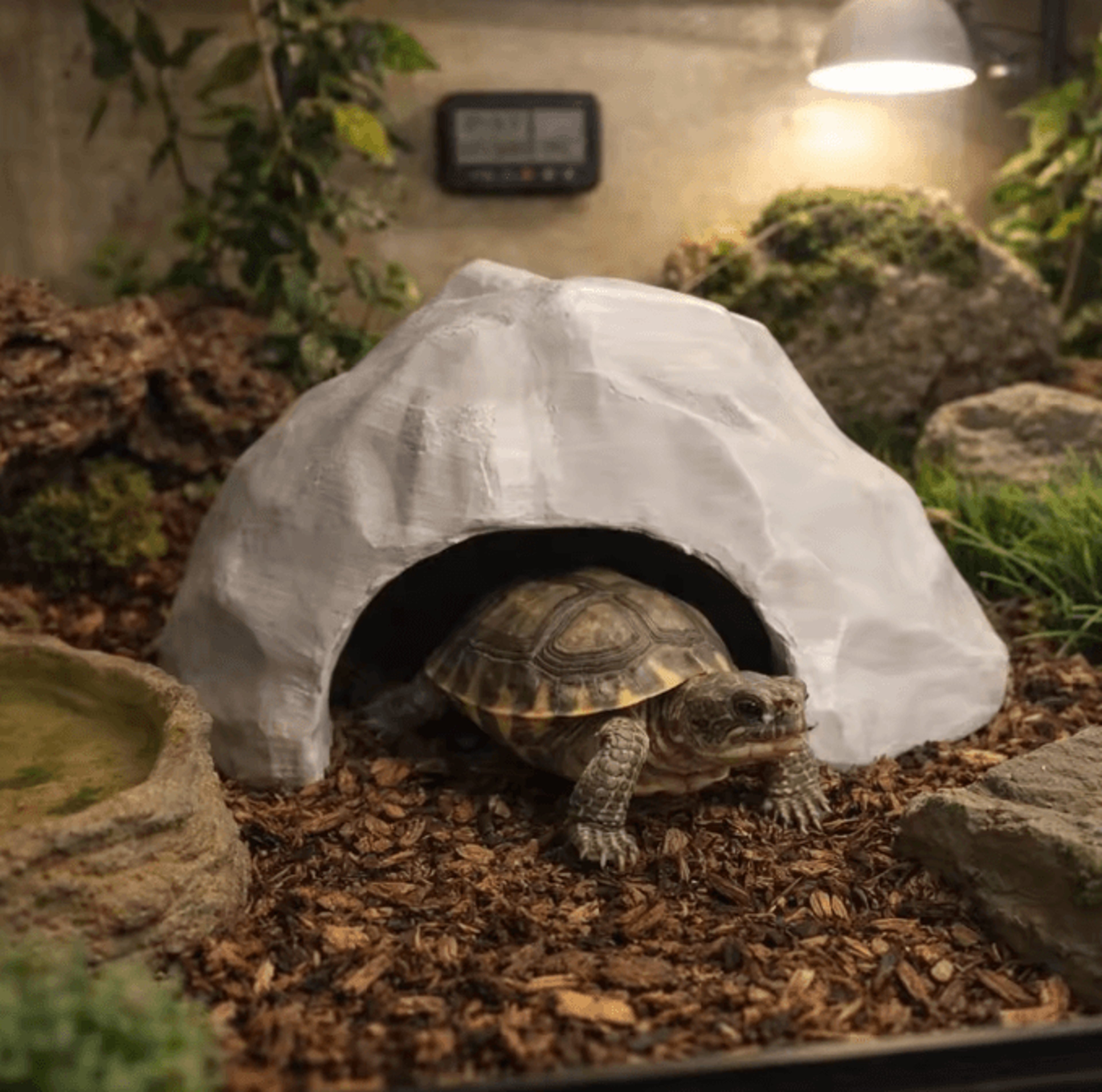 3D Printed Reptile Hide Cave  Realistic Shelter Decor For Reptiles  Amphibians 2