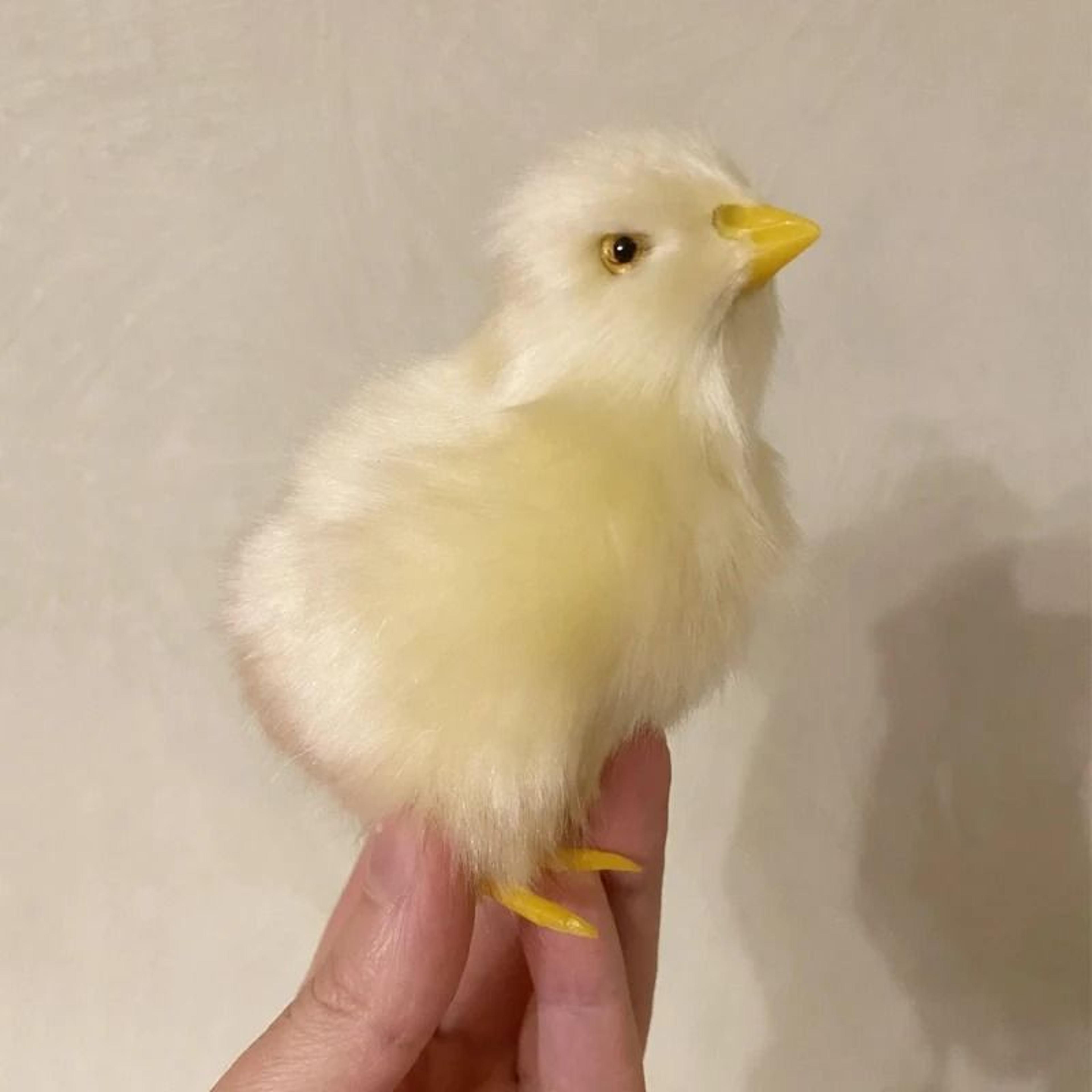Plush Easter Chick Decoration 3