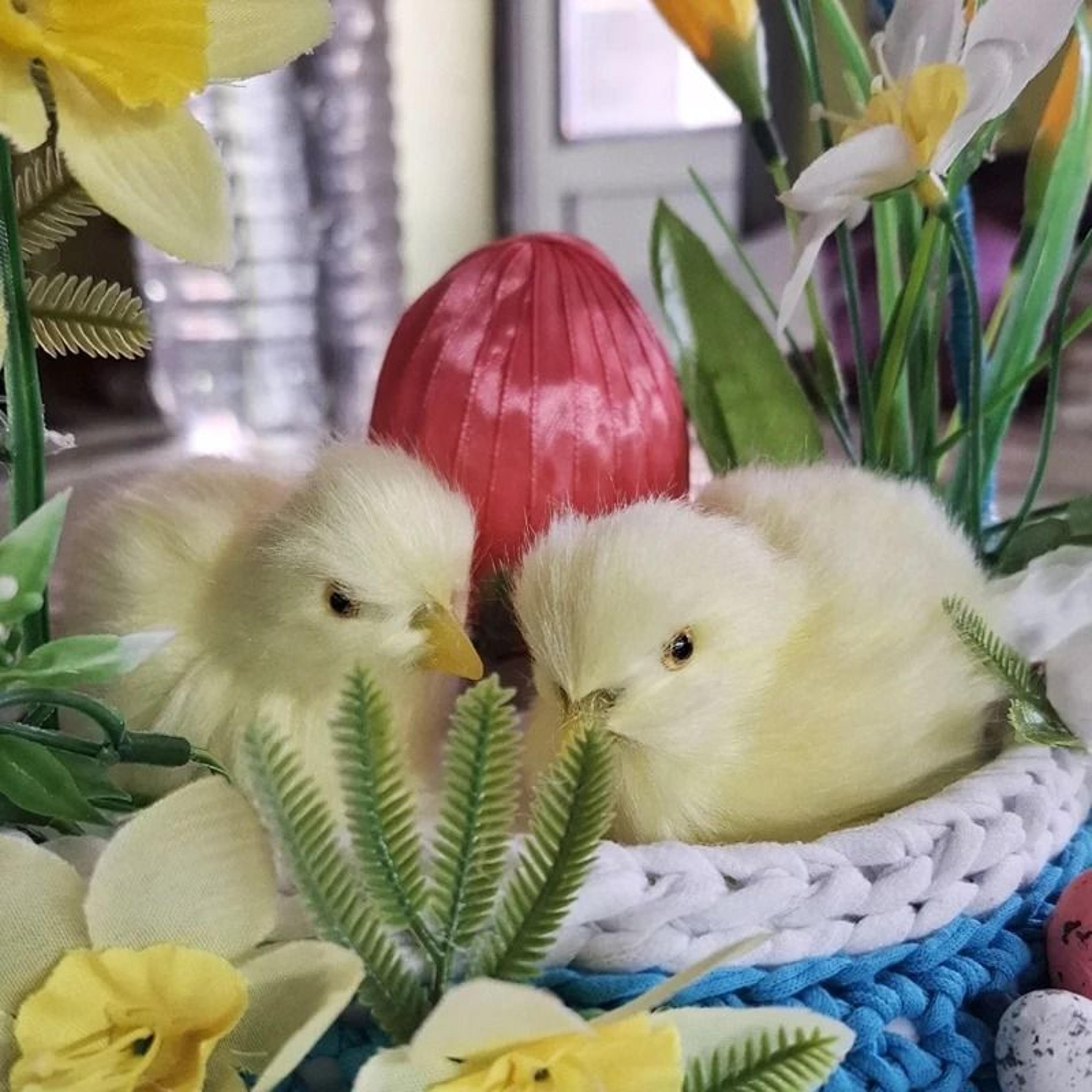 Plush Easter Chick Decoration 5