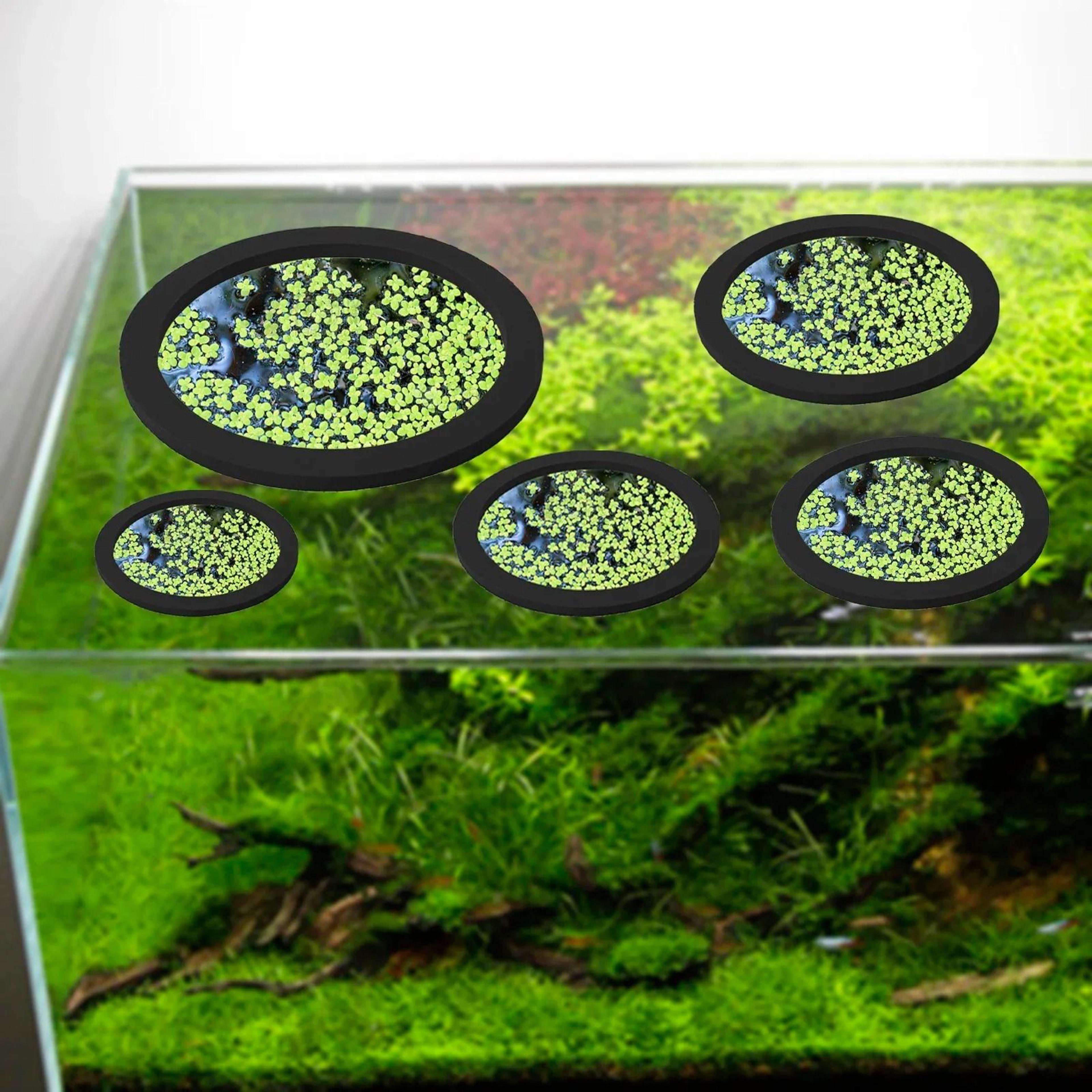 5Piece EVA Floating Aquarium Fish Feeding Ring And Floating Plant Corral Set 1