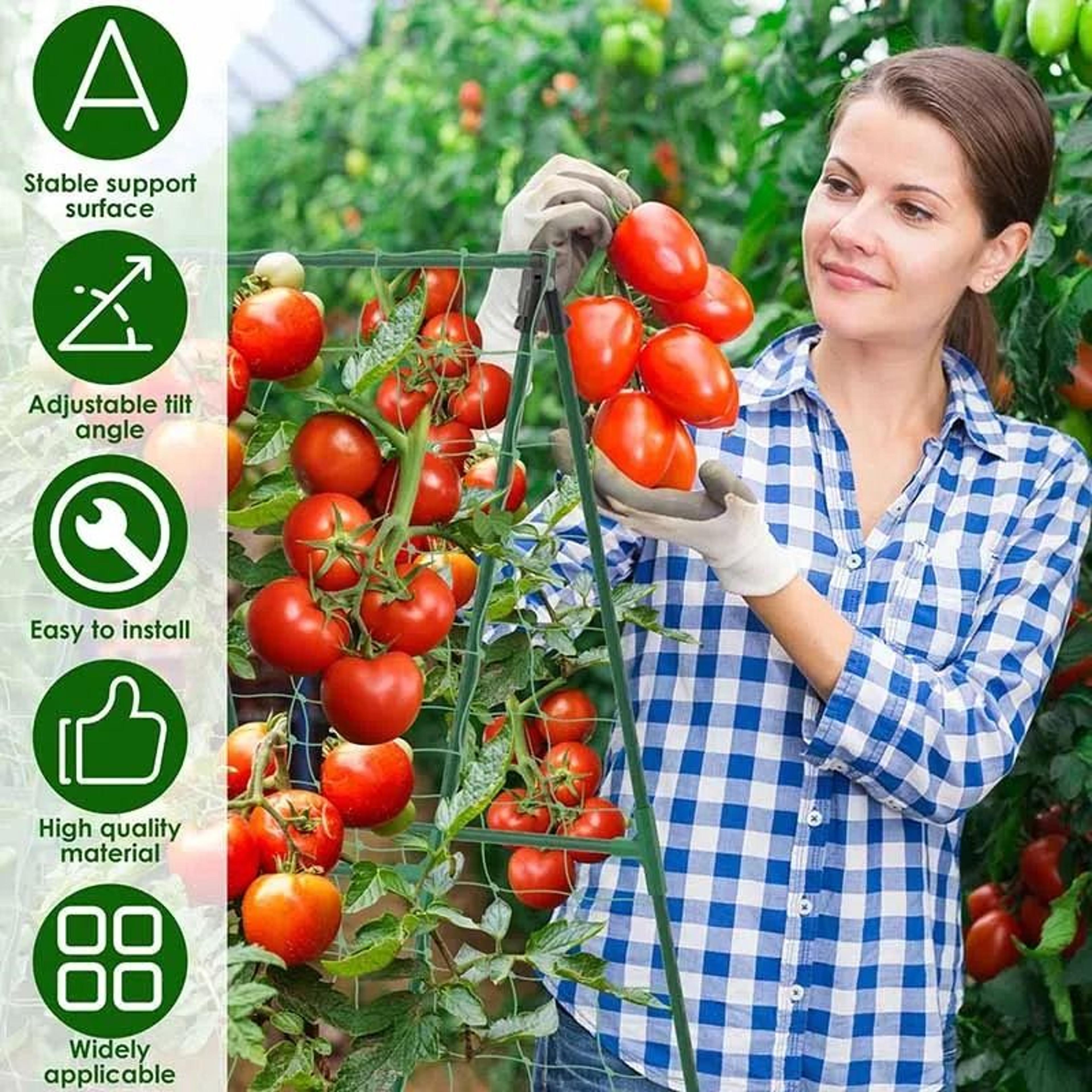 AFrame Garden Vegetable Climbing Trellis Kit For Cucumbers Tomatoes And Vines 2
