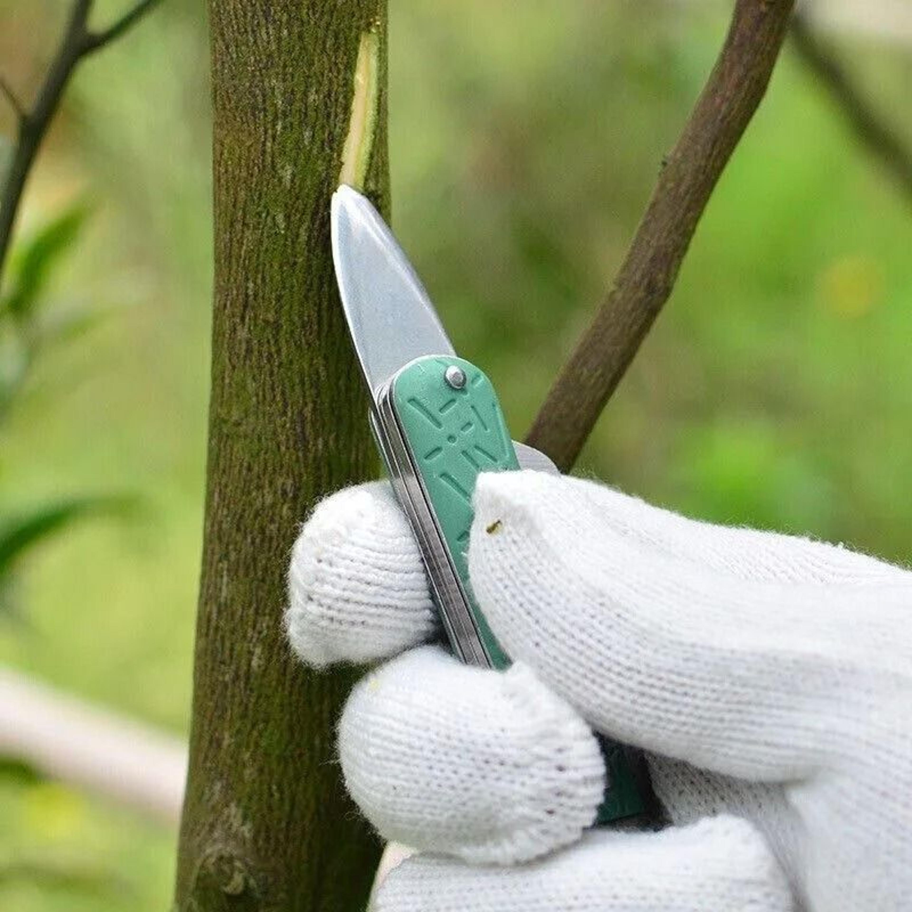 Dual Blade Stainless Steel MultiFunctional Folding Grafting Knife  Budding Tool 4