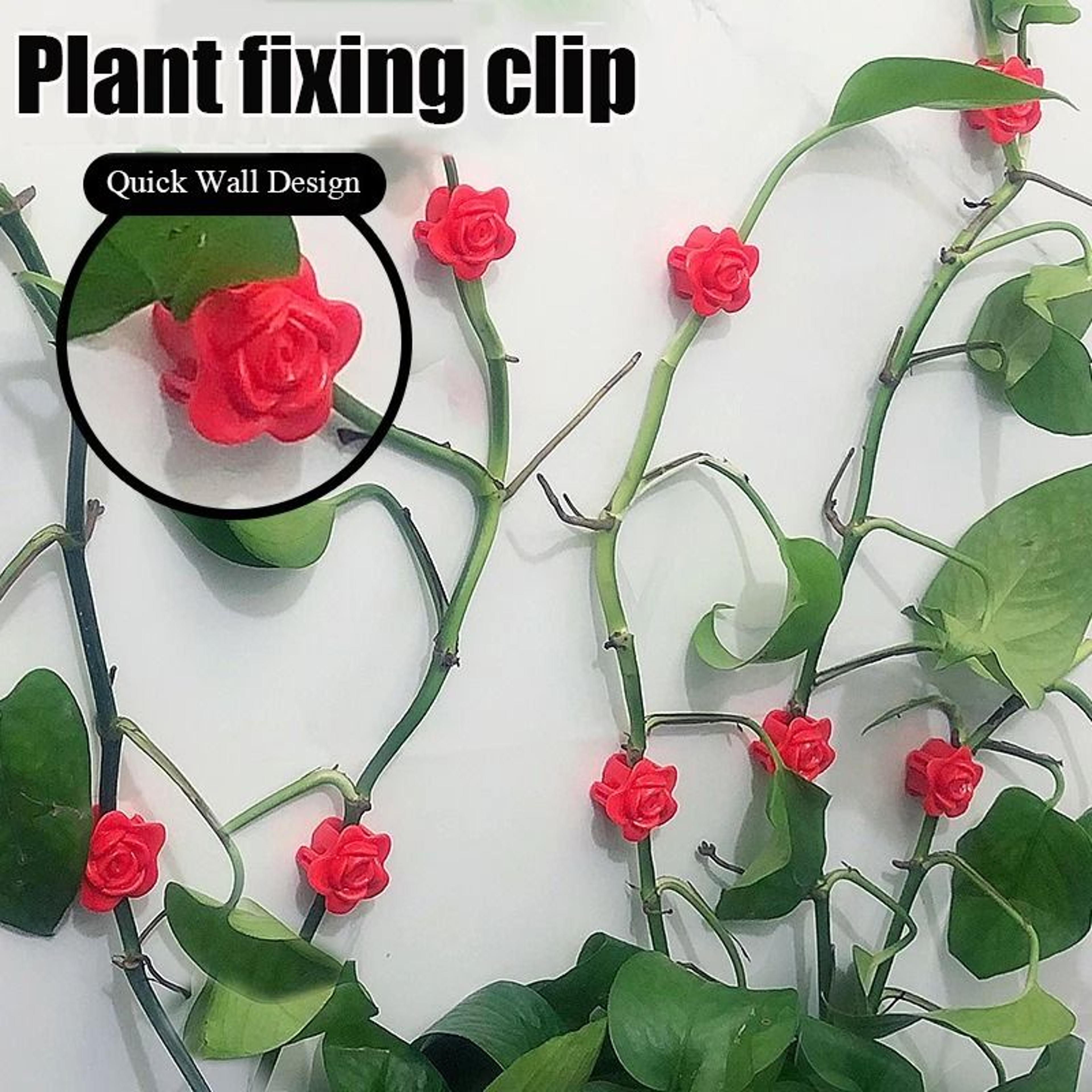 invisible vine climbing wall fixture clips – self-adhesive plant rattan fixer hooks for garden & home