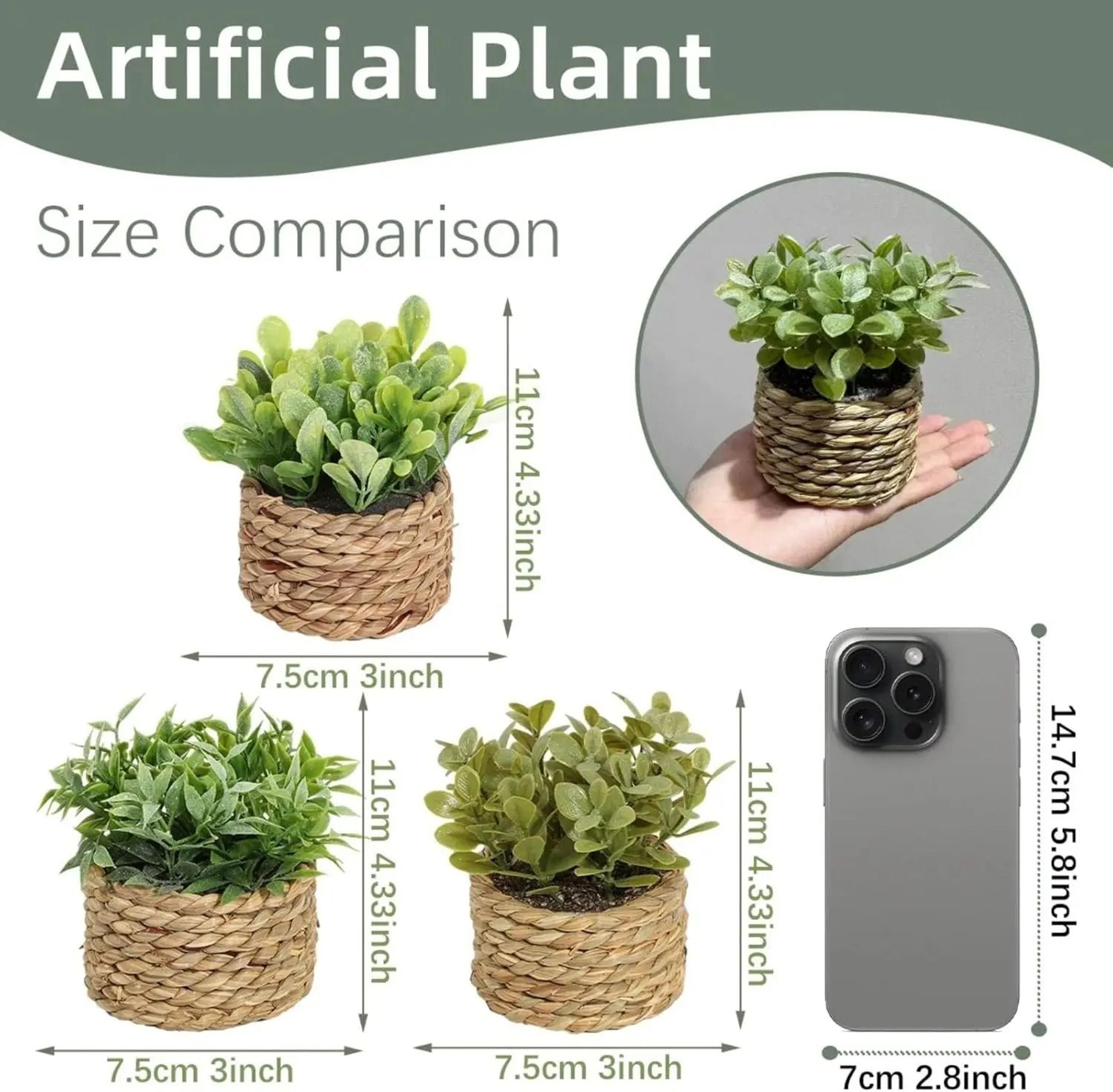 Mini Artificial Potted Eucalyptus Fake Greenery In Grass Woven Pot For Desk Decor 4