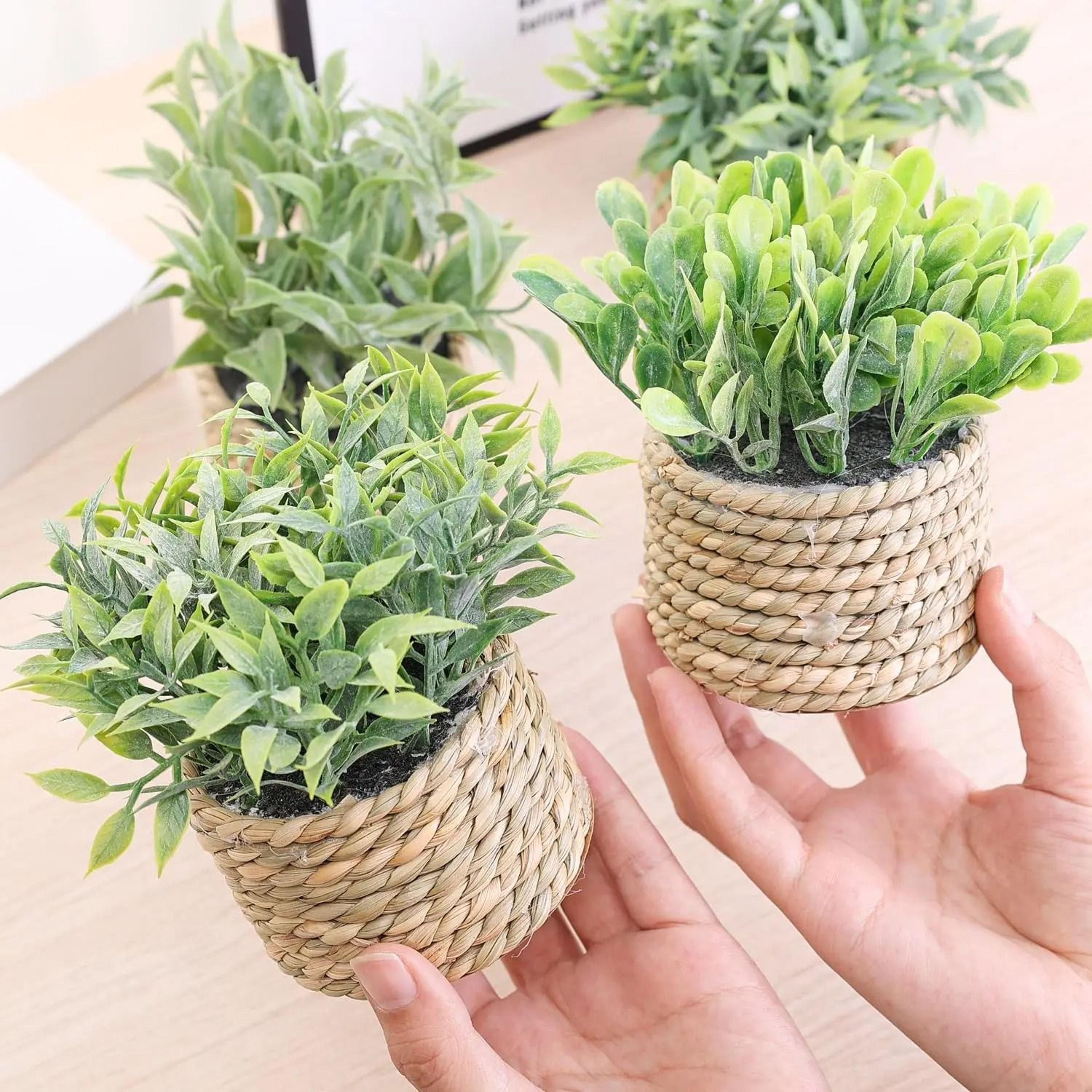 Mini Artificial Potted Eucalyptus Fake Greenery In Grass Woven Pot For Desk Decor 0