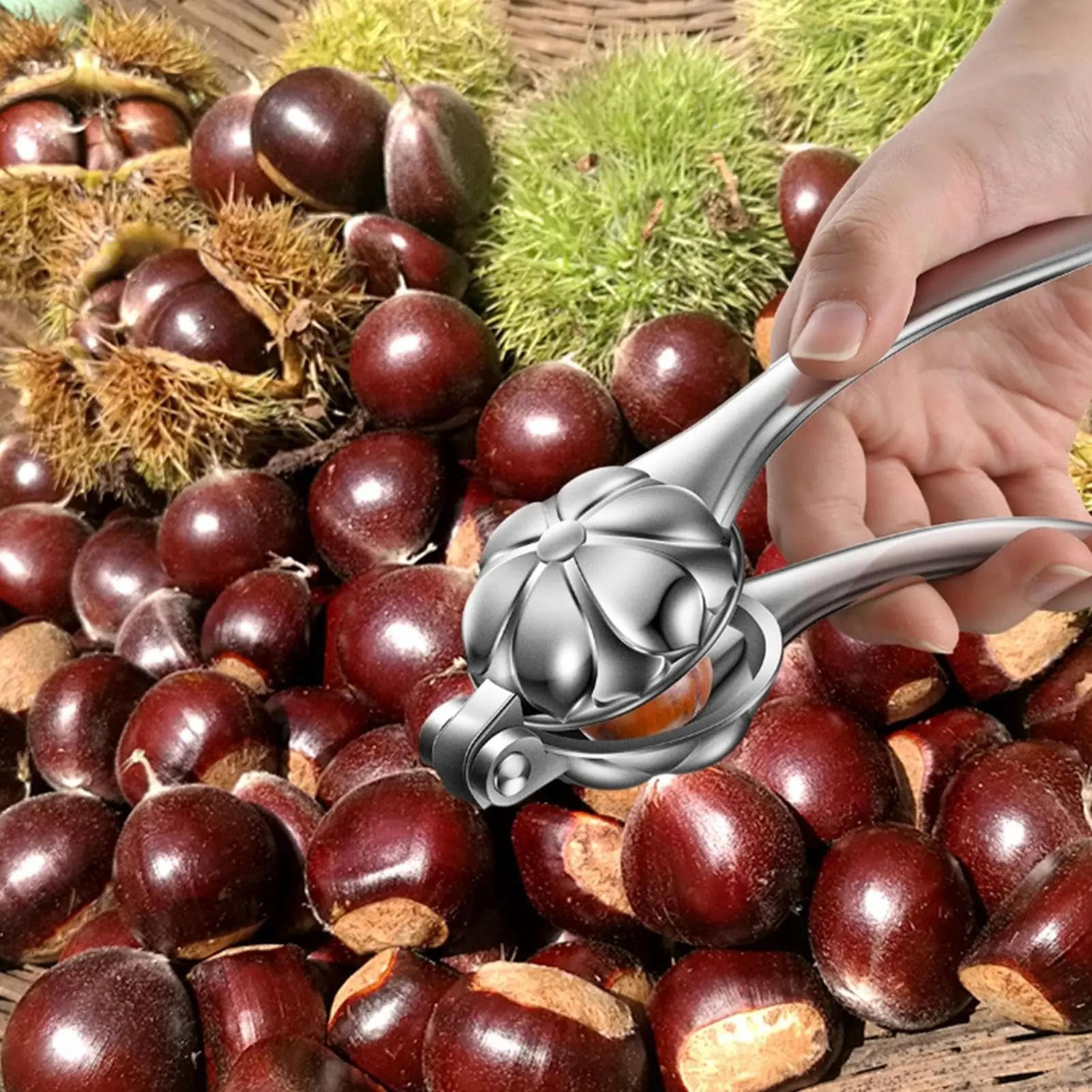 Manual Stainless Steel Chestnut Clip Shell Opener Nut Cracker Pliers Cutter 2