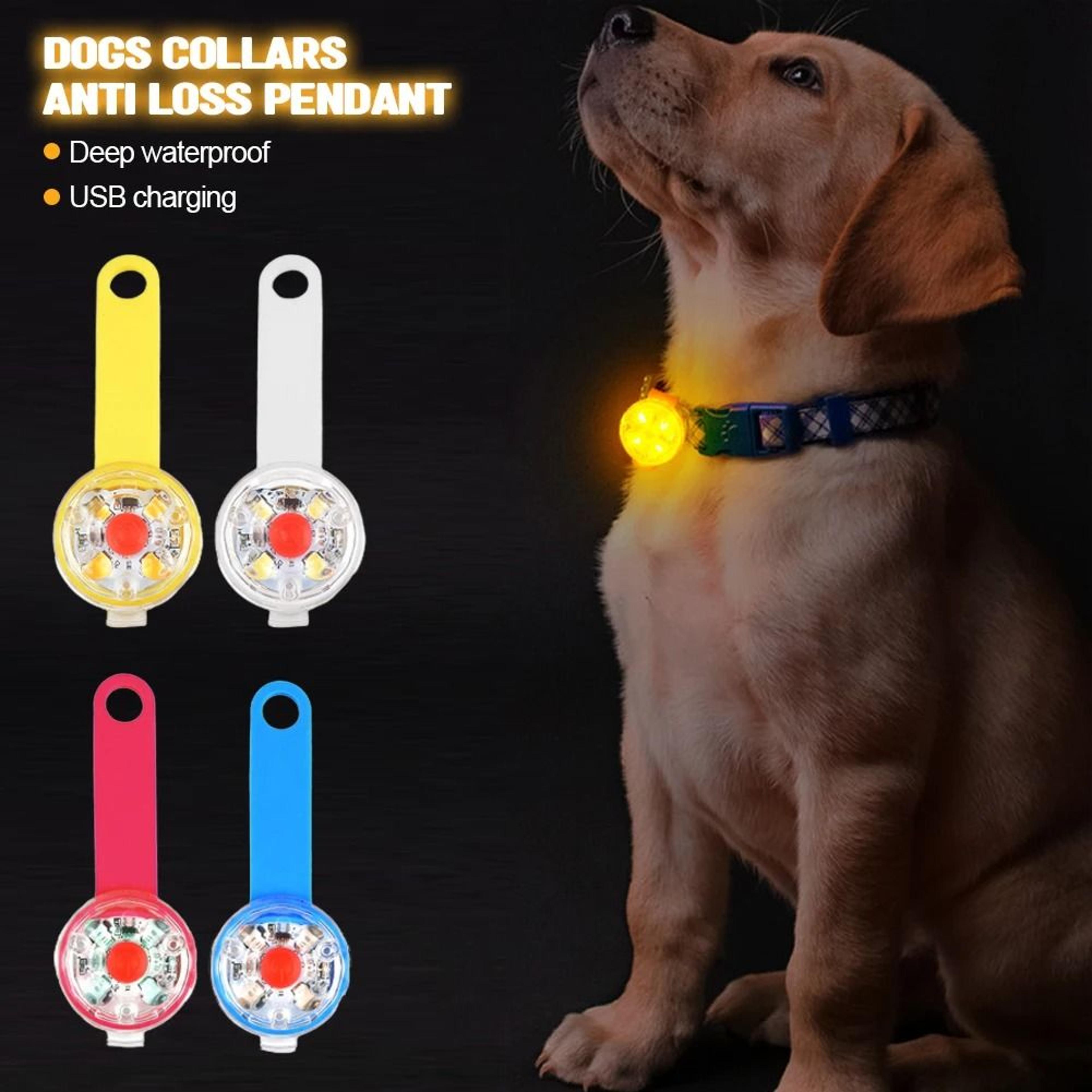 usb rechargeable led dog collar light waterproof safety flashing tag pendant