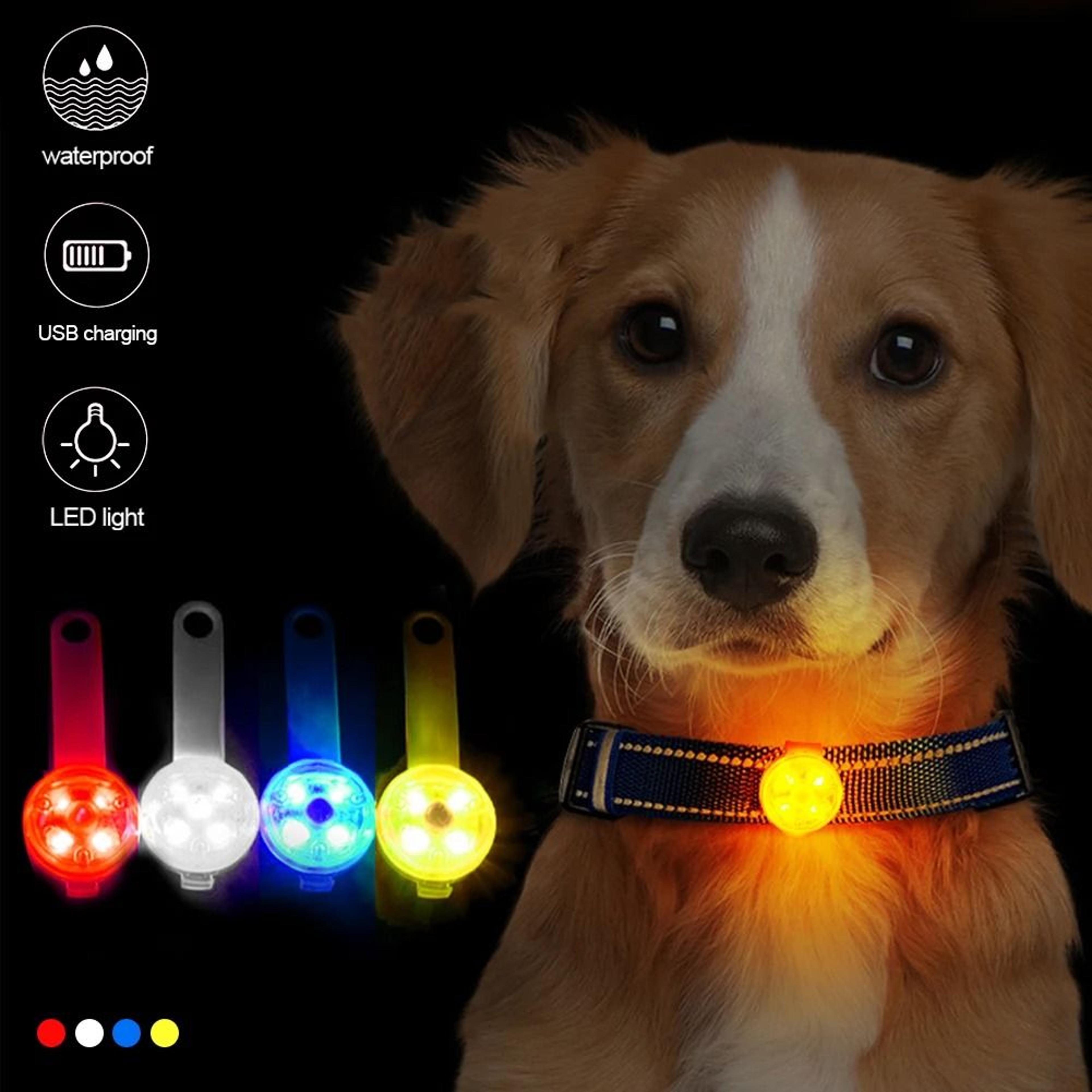 USB Rechargeable LED Dog Collar Light Waterproof Safety Flashing Tag Pendant 5