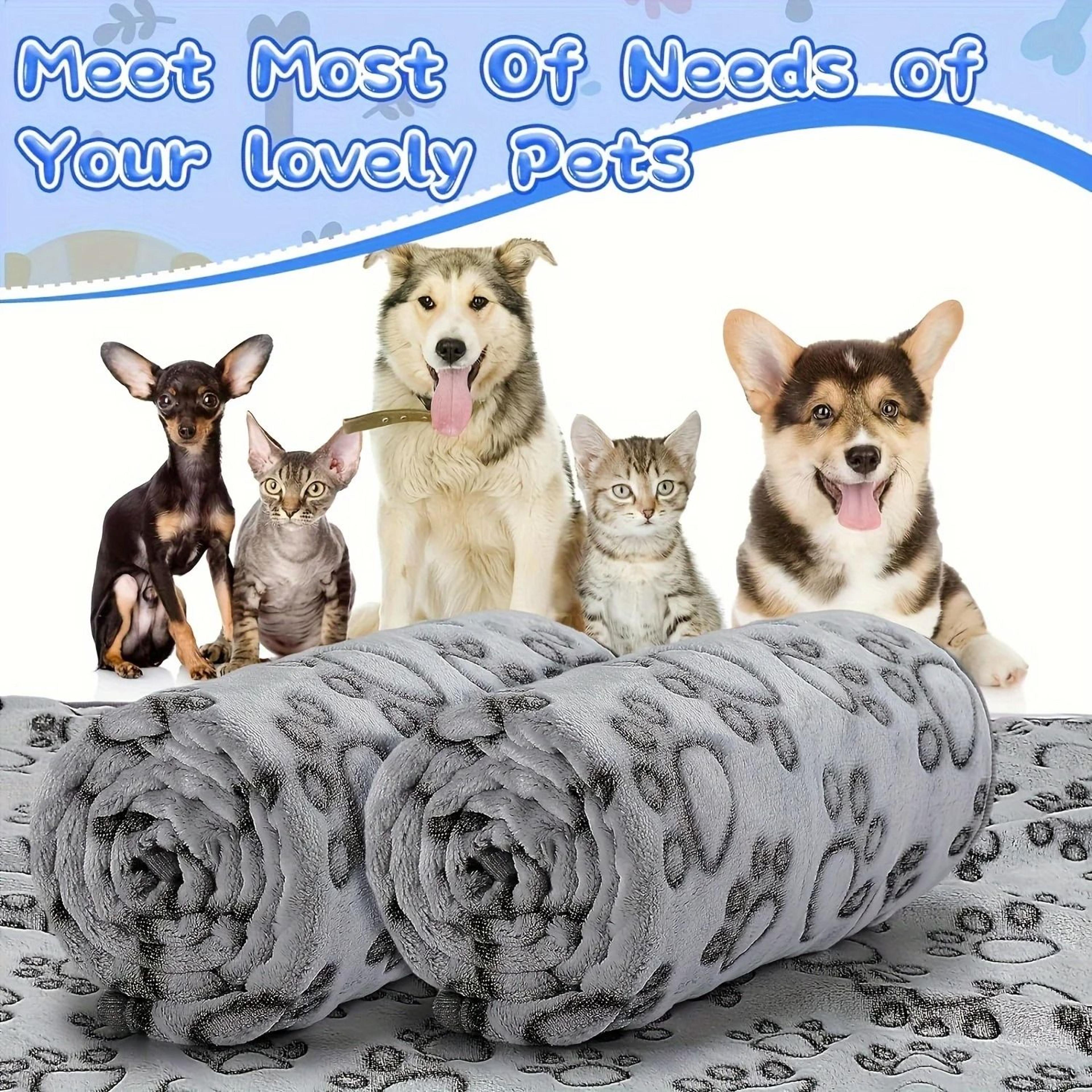Autumn Winter Soft Fluffy Pet Blanket Cute Cartoon Pattern Warm Plush Cat Dog Mat 2