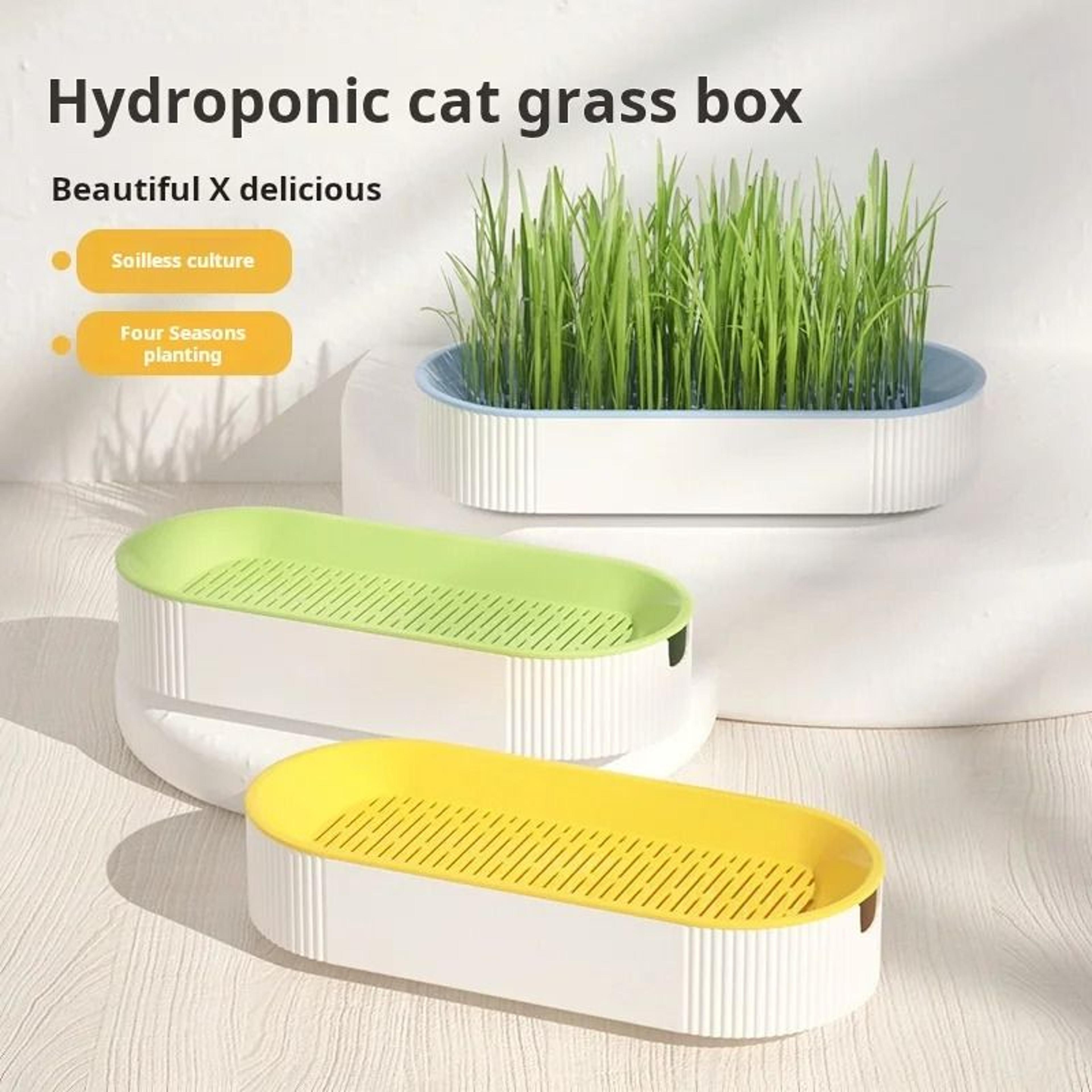 Hydroponic Cat Grass Growing Planter Box Soilless Sprouting Tray Dish Set 4