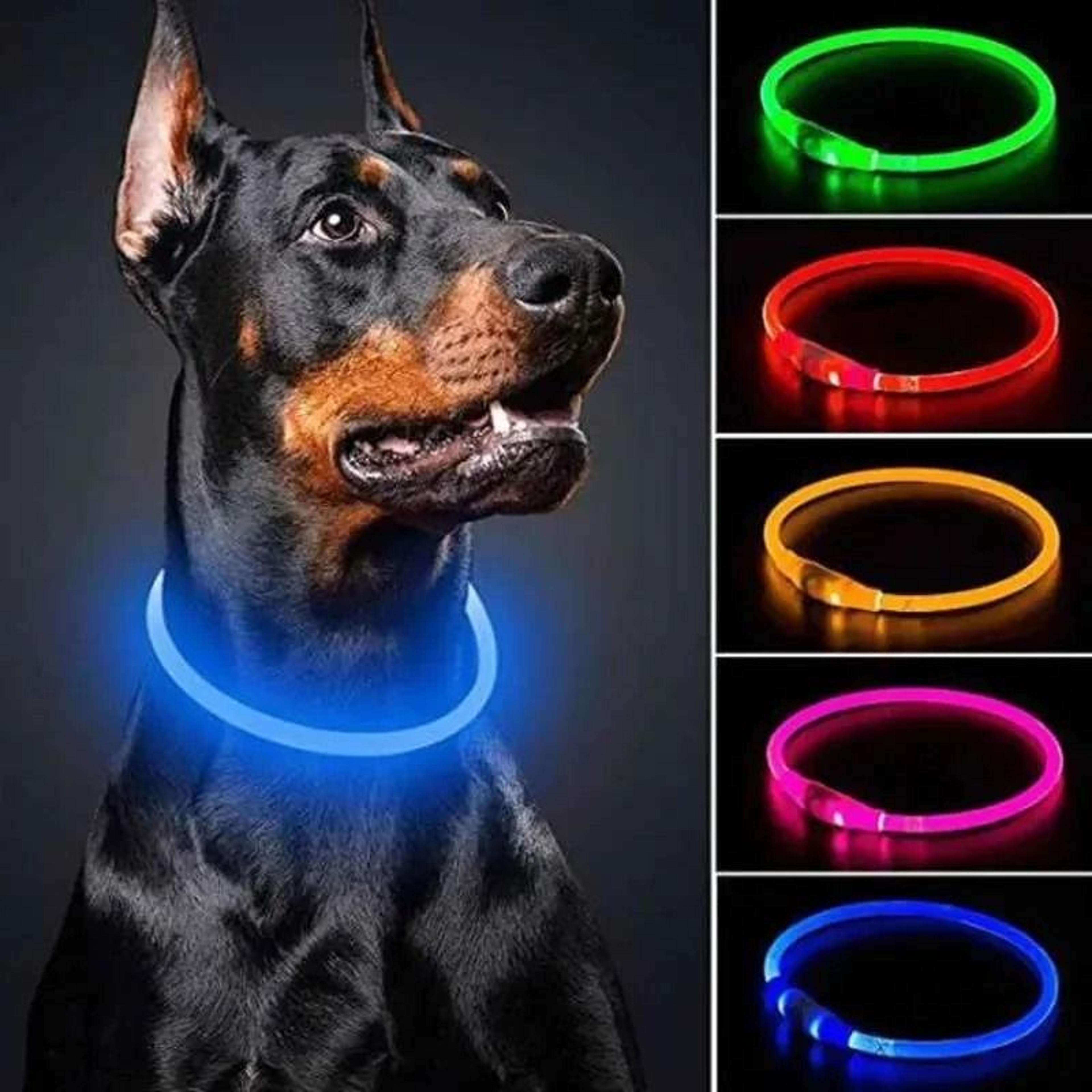 Night Safety Glowing Pet Collar USB Rechargeable Light Up Collar For Dogs Cats 1