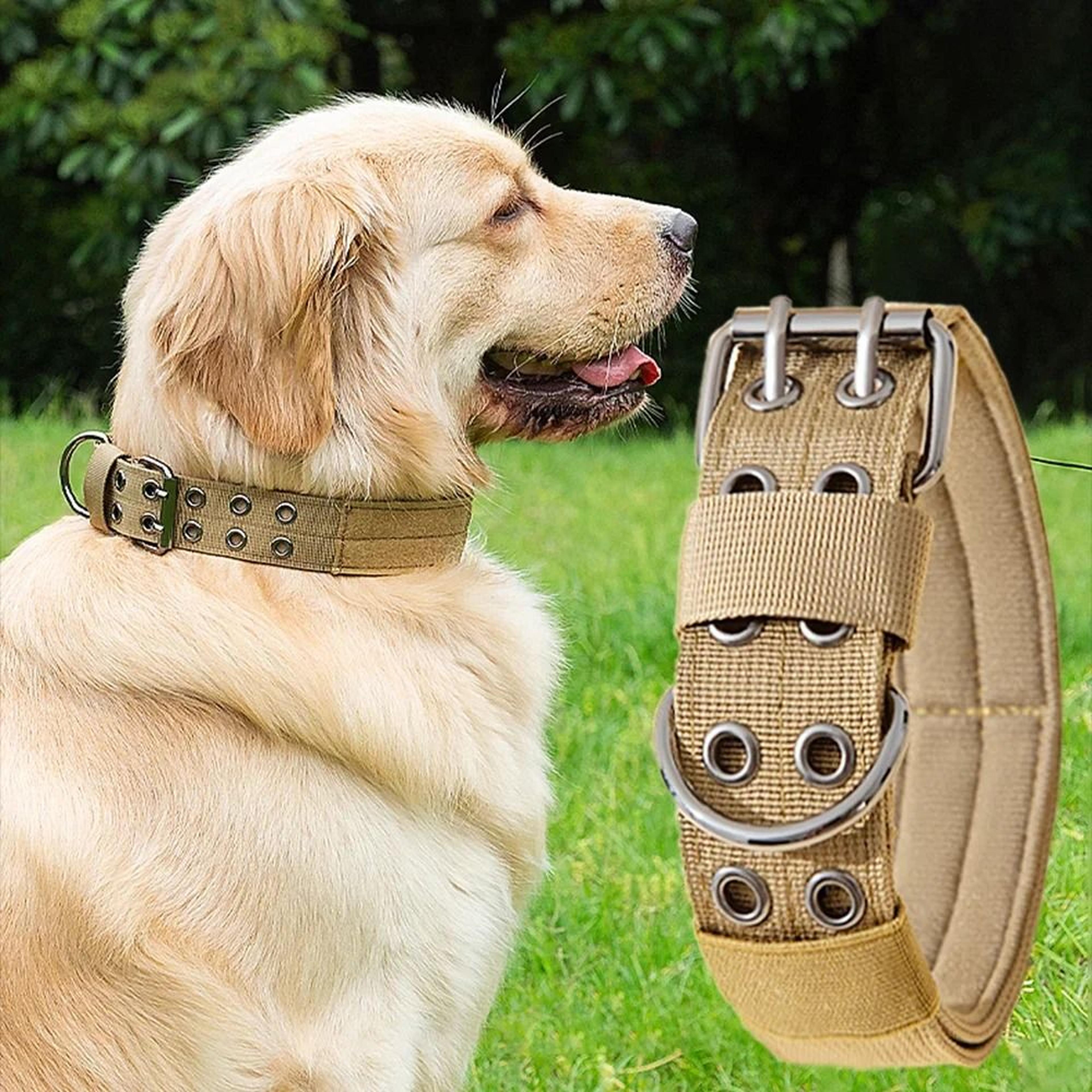 outdoor tactical military dog collar heavy-duty metal buckle adjustable training collar