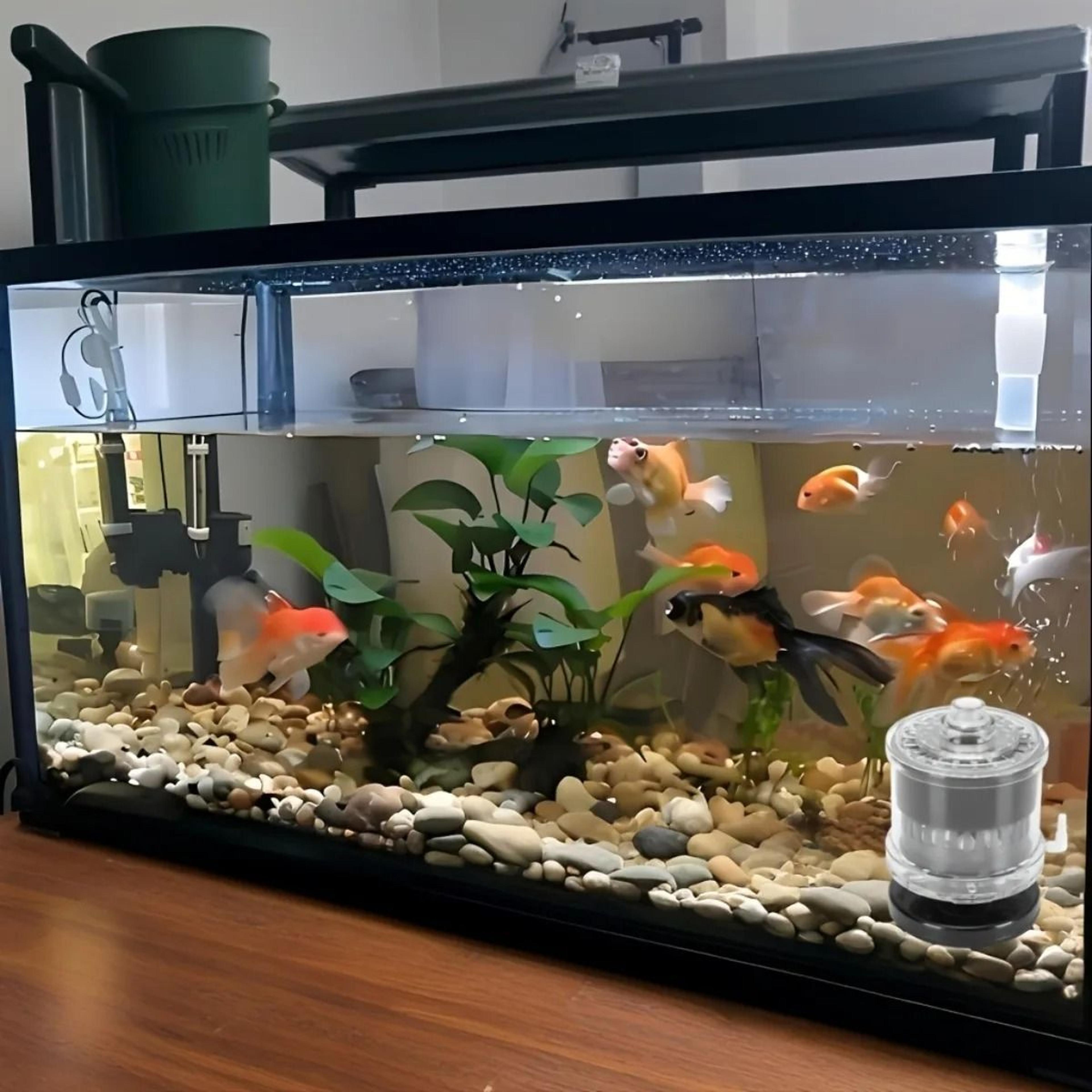 Compact SelfCleaning Fish Tank Filter Silent Pump With BioOxygenation For Nano Aquariums 4