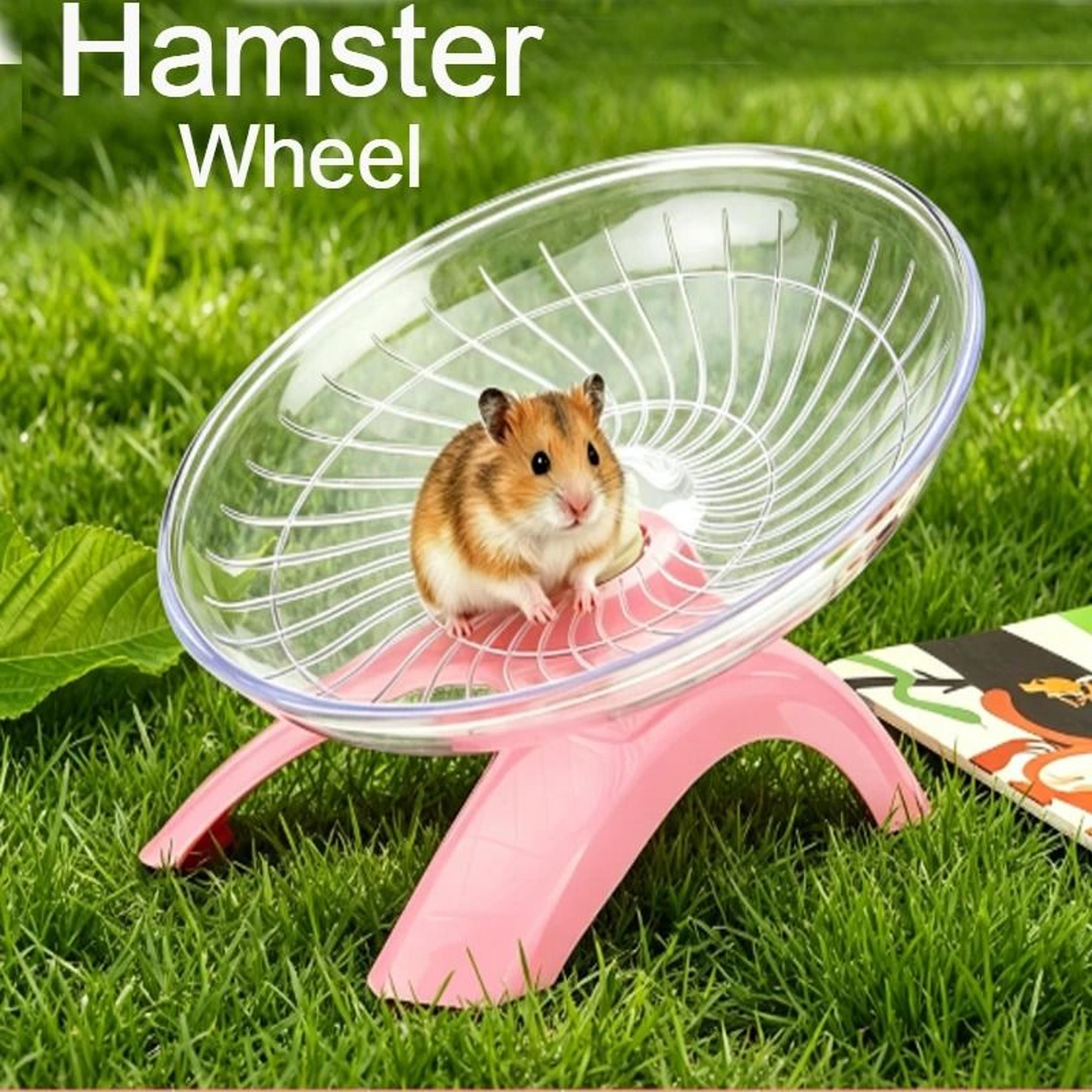 Small Pet Hamster Running Disc Silent Transparent Rotatory Jogging Wheel Toy 0