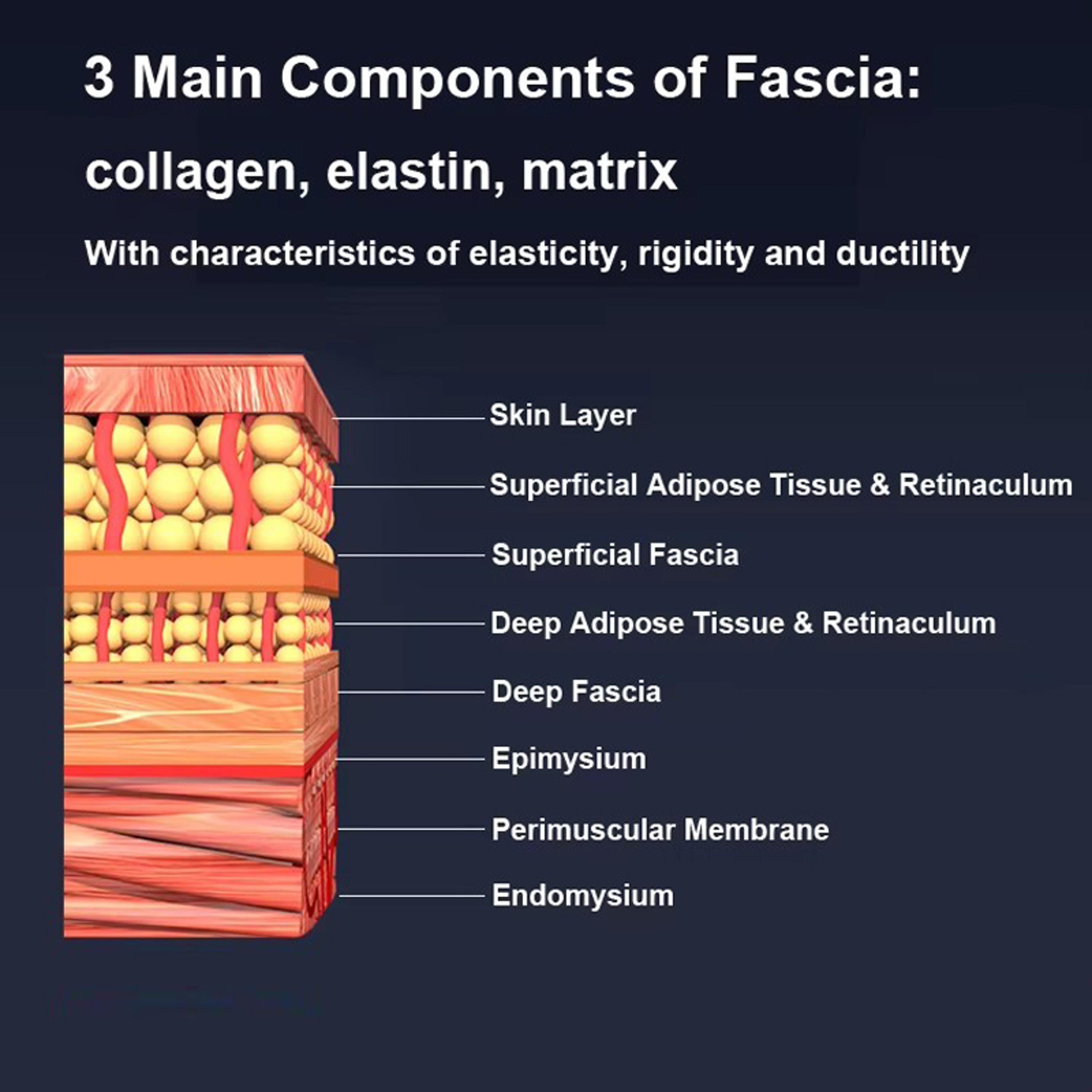 Electric Gua Sha Muscle Scraper Deep Tissue Fascia Massager For Recovery 3