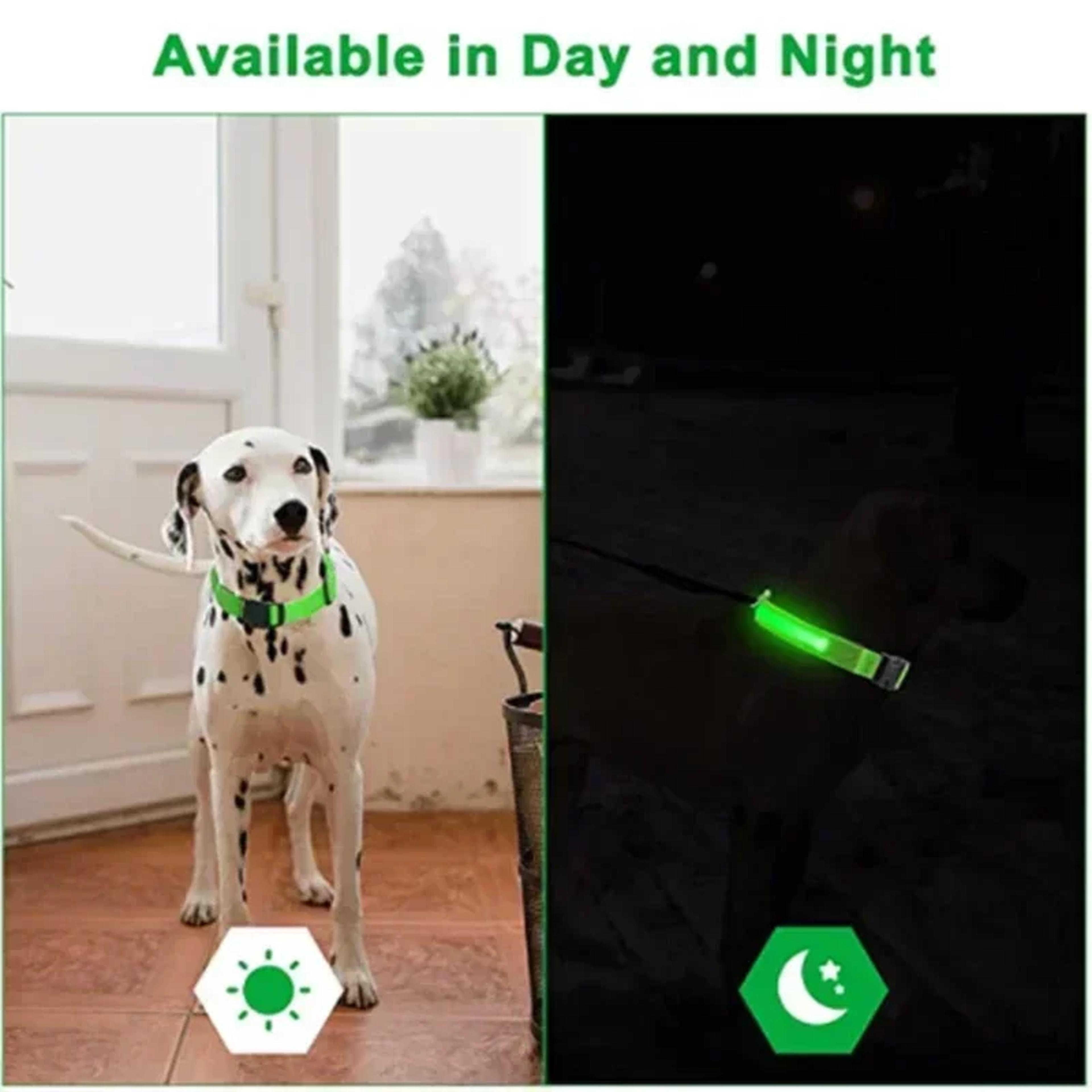 Adjustable LED Glowing Dog Collar Rechargeable Flashing Luminous AntiLost Night Light Harness For S 1