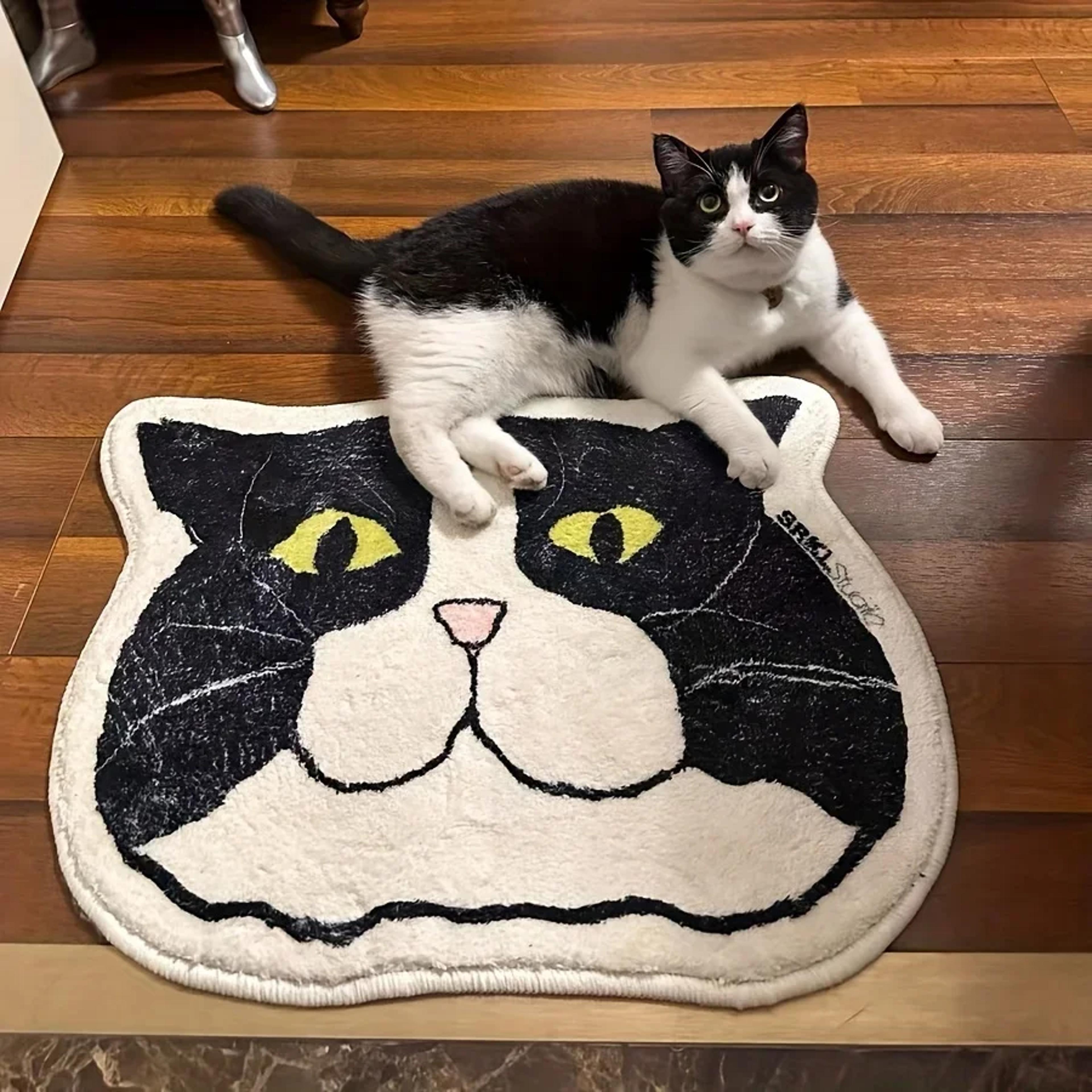 Waterproof Anti Slip Cat Floor Mat Stain Resistant Perfect For Bathroom Bedroom Kitchen 0