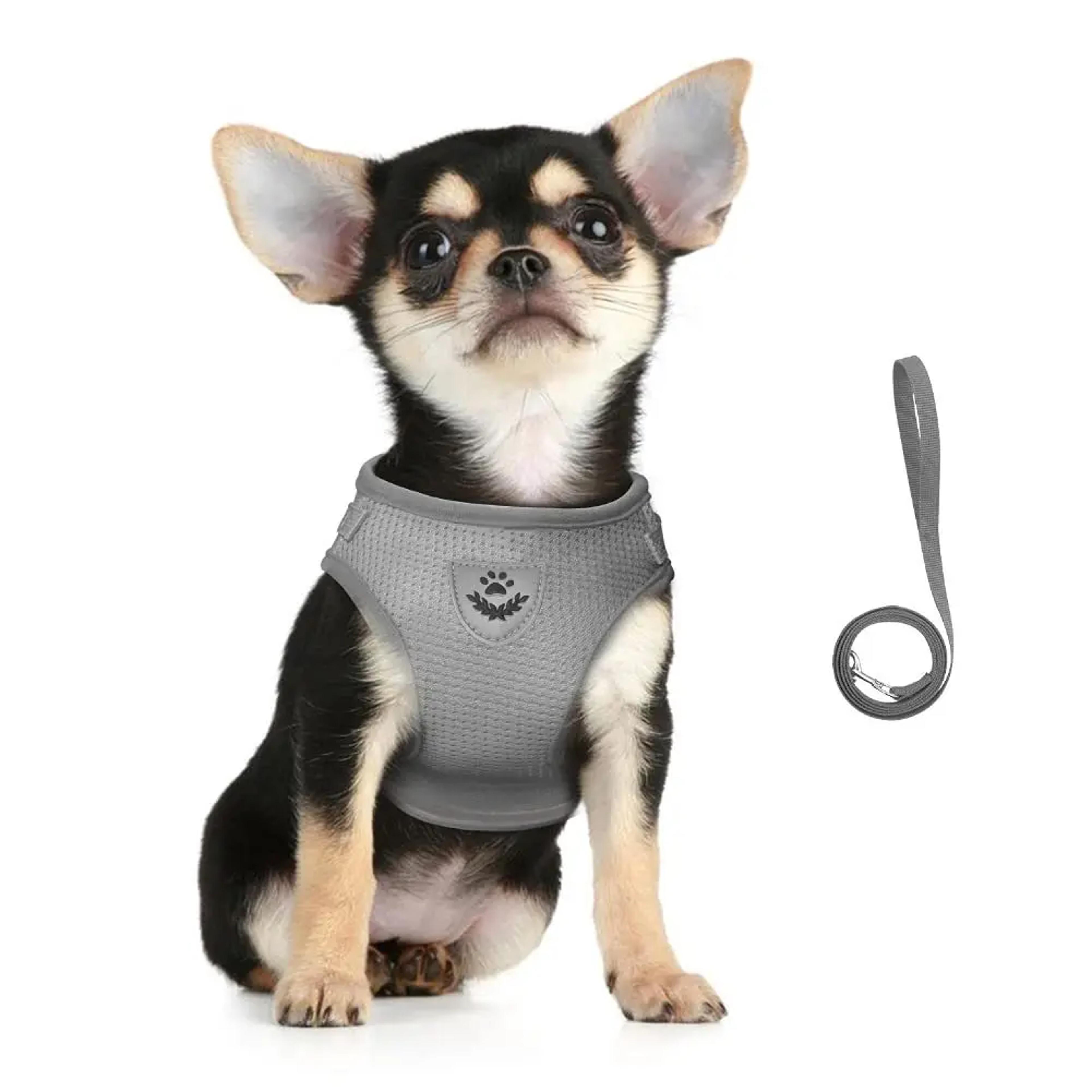 Reflective Adjustable Cat Harness Leash Set Mesh Vest Escape Proof Puppy Dog Collar For Small Dogs  2