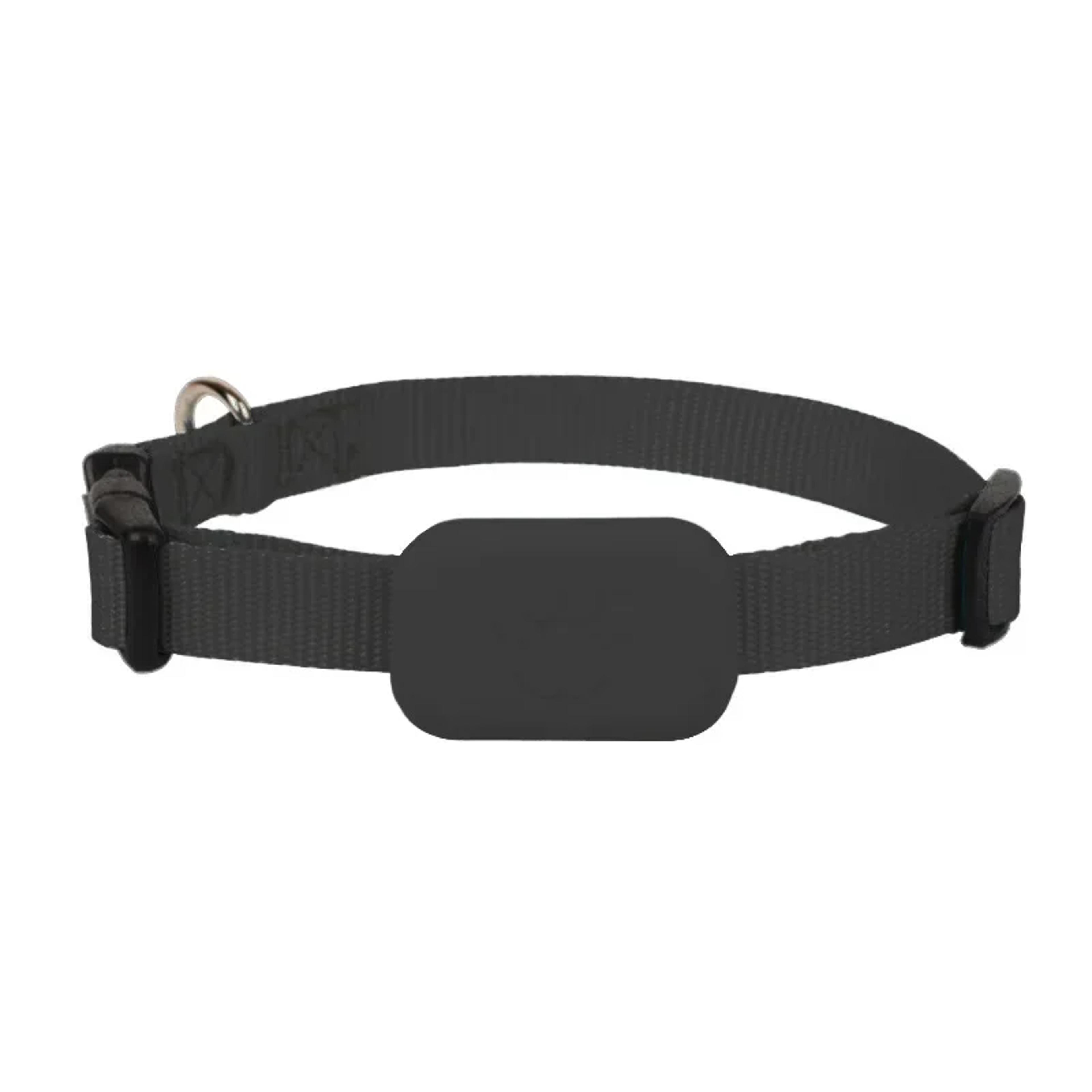 Mini Dog GPS Tracker Waterproof Animal Tracking Collar For Cats And Puppies Anti Lost Movement Aler 5