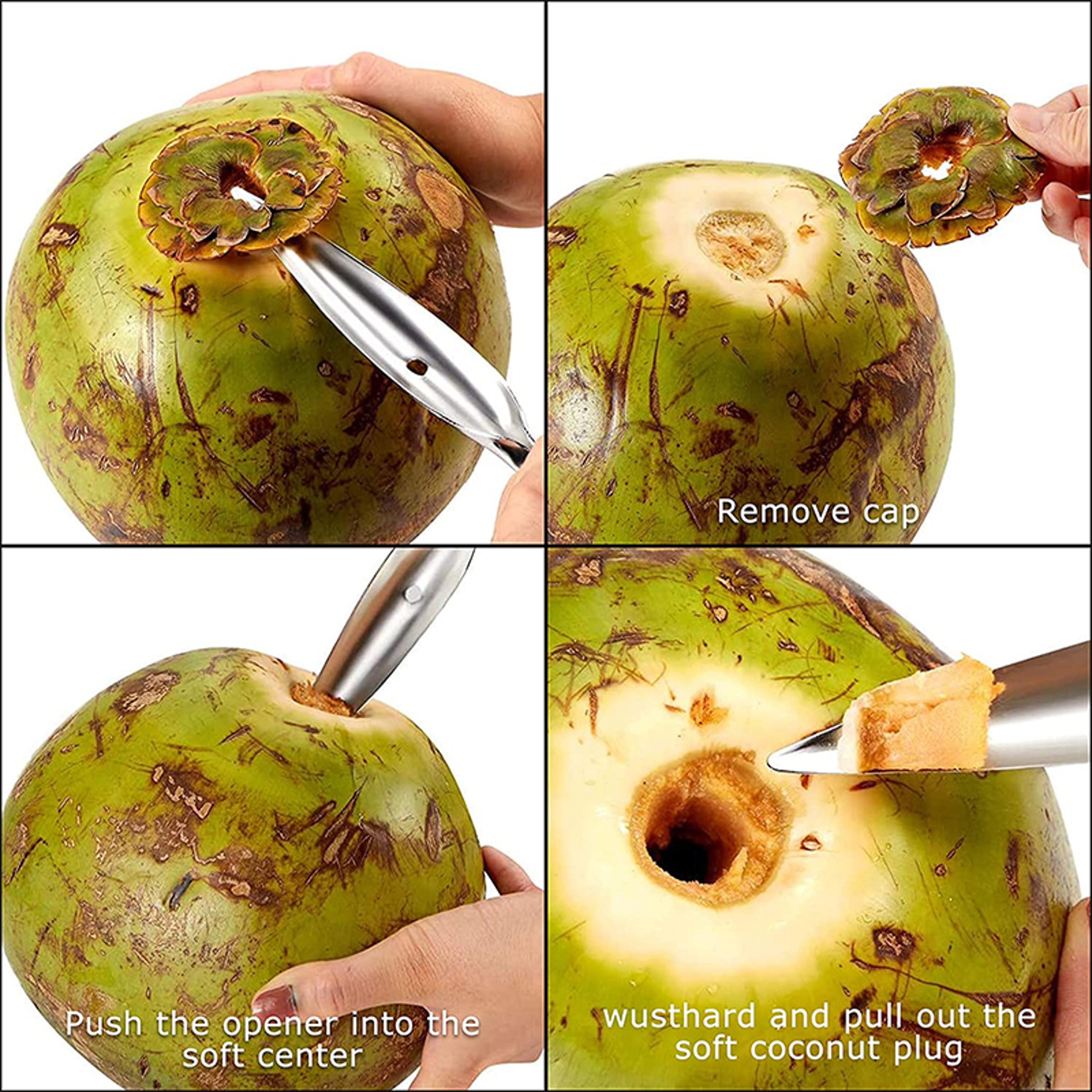 Coconut Opener Scraper Knife Punch Tool Stainless Steel Coconut Opener Tool For Quick Coconut Acces 2
