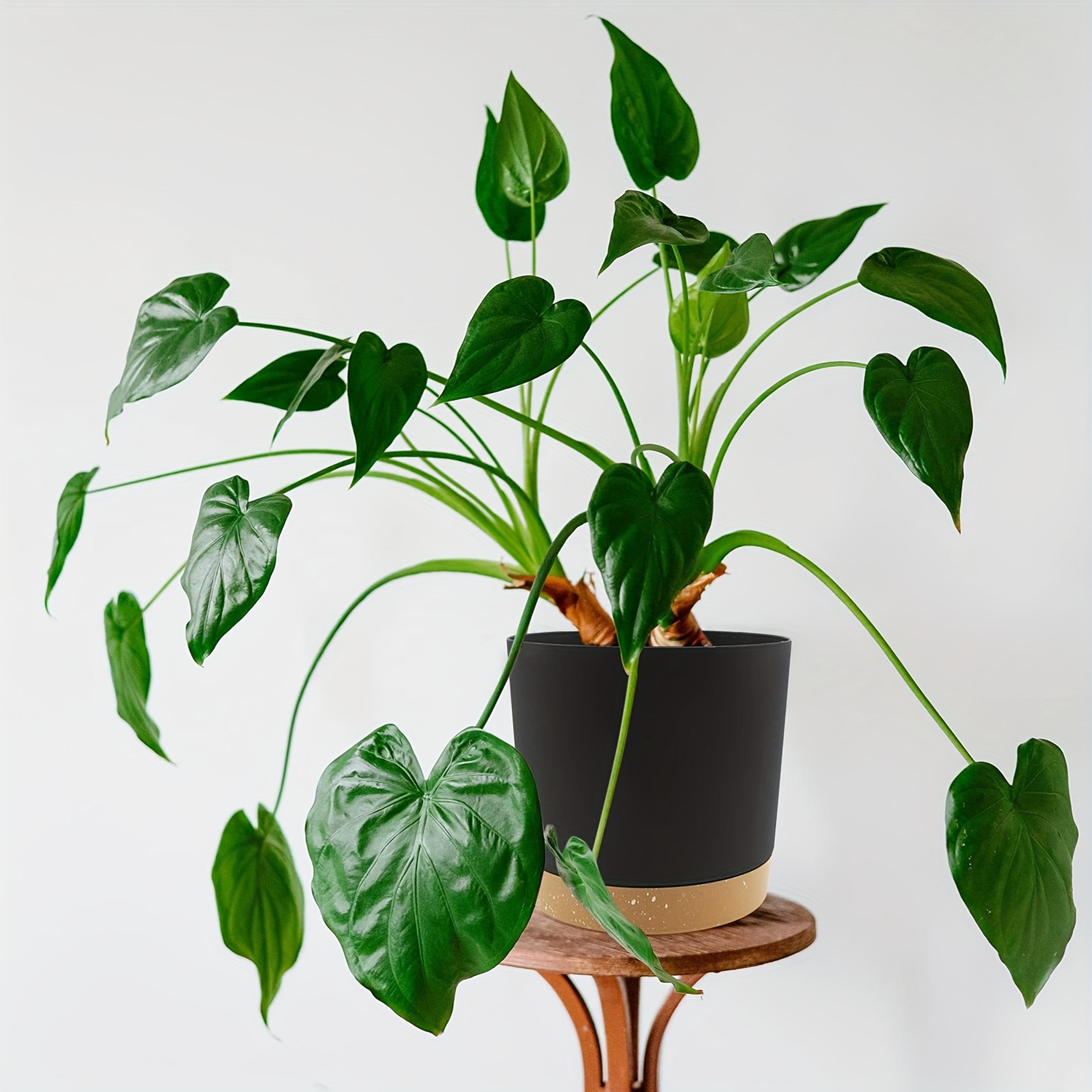Detachable Bottom Flower Pot Round Flowerpot For Garden Home 2