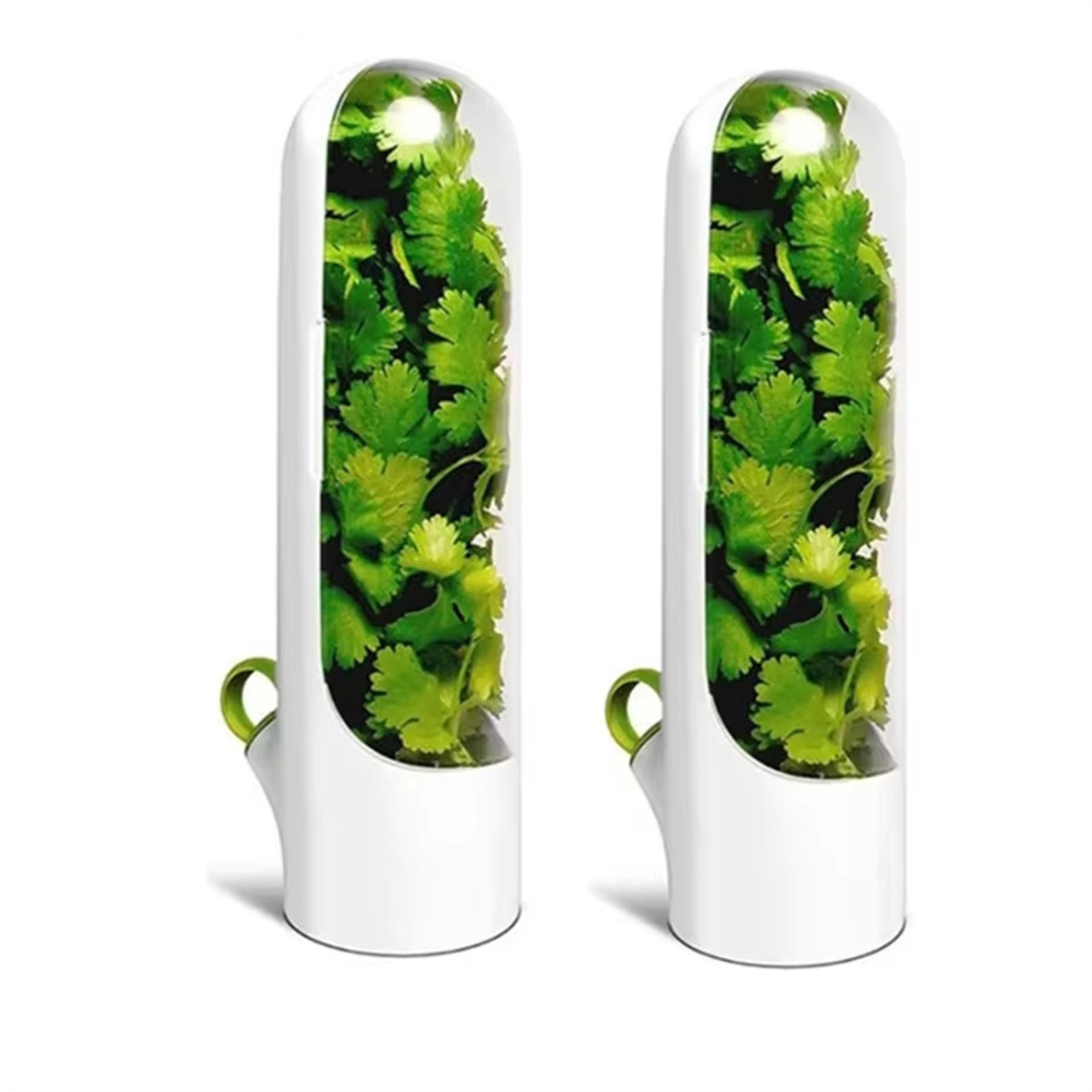 Herb Saver Storage Container Fresh Herb Keeper For Refrigerator Kitchen Preservation 5