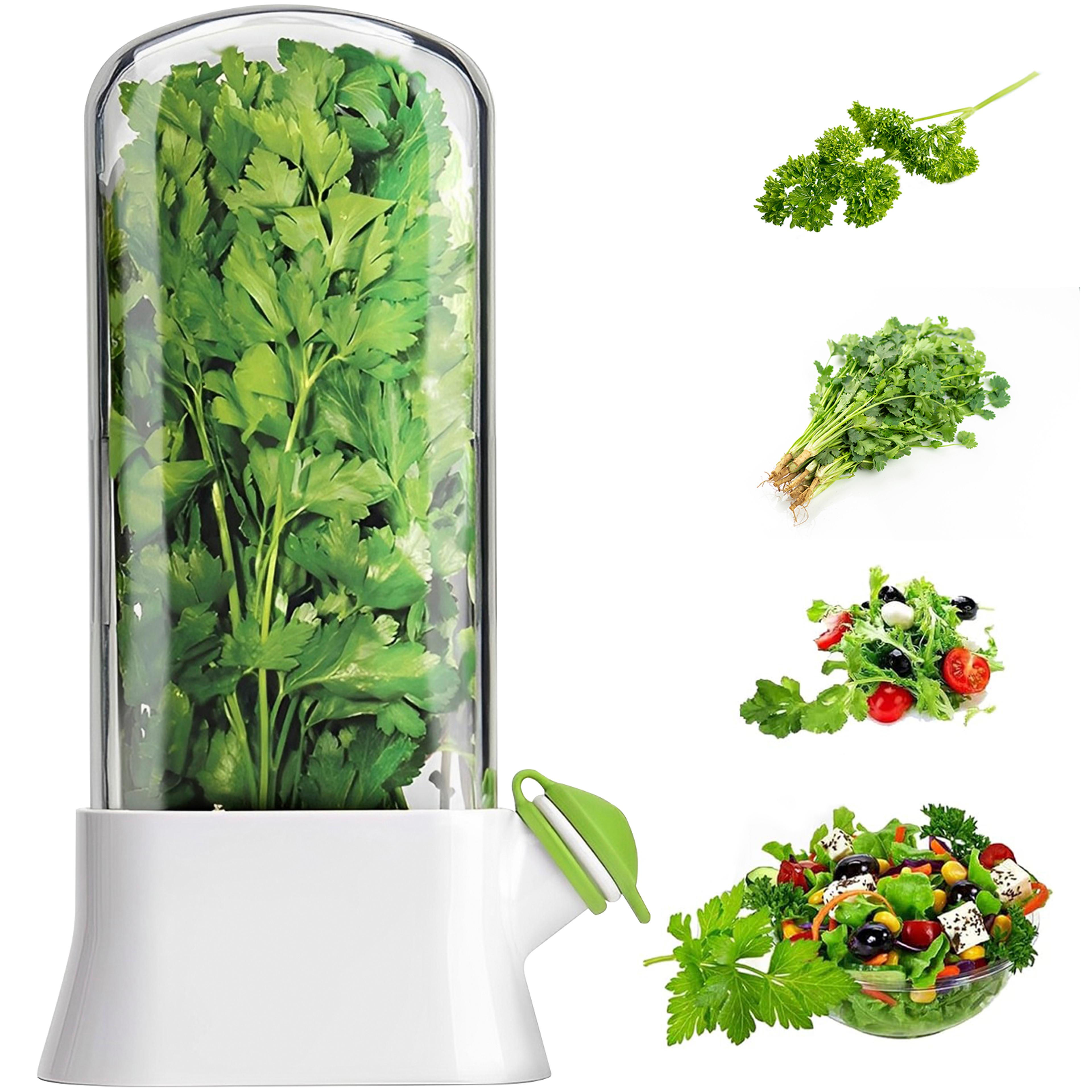 Vegetable Preserving Bottle For Kitchen Herb Saver For Refrigerator Fresh Herb Keeper Pod Cilantro  0