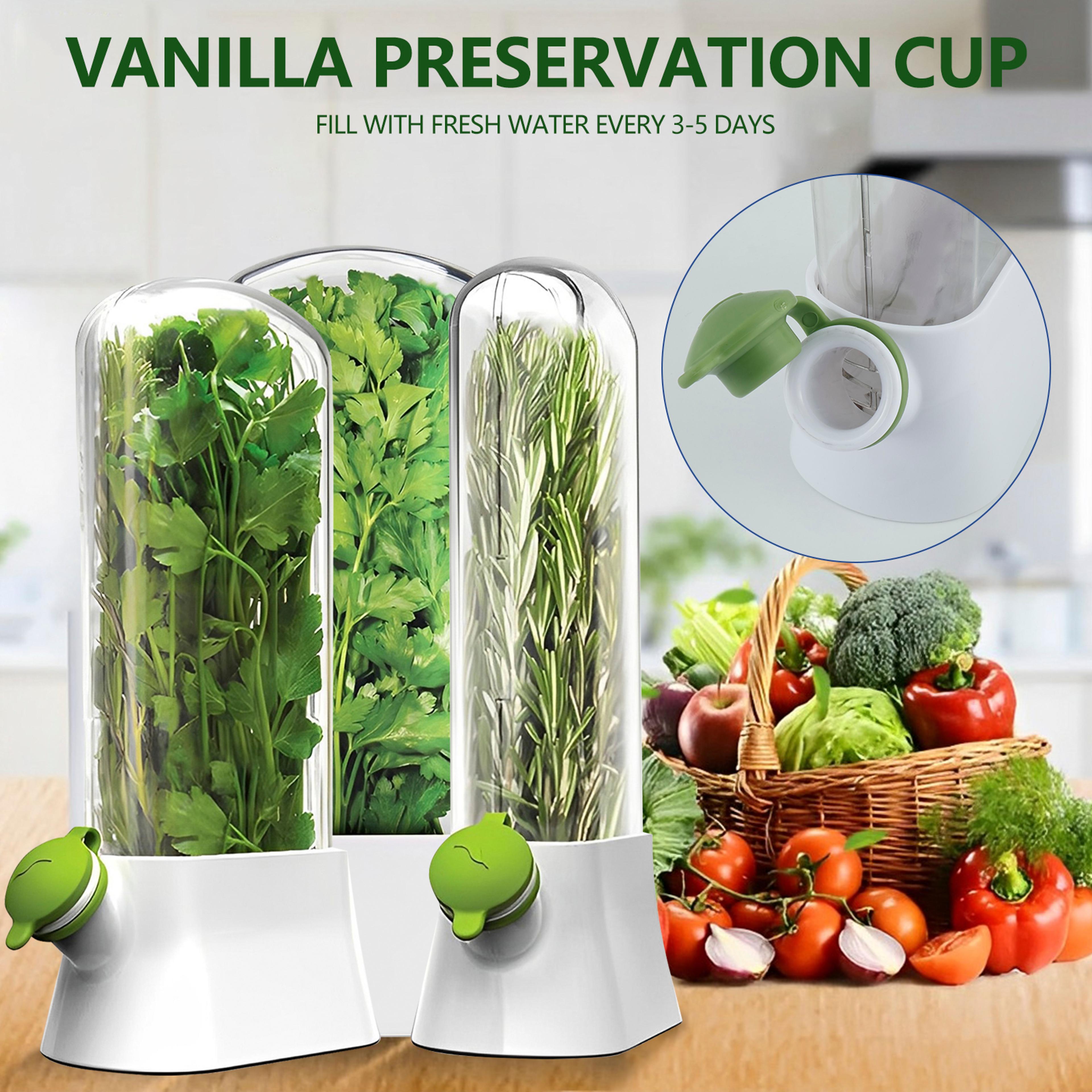 Vegetable Preserving Bottle For Kitchen Herb Saver For Refrigerator Fresh Herb Keeper Pod Cilantro  1